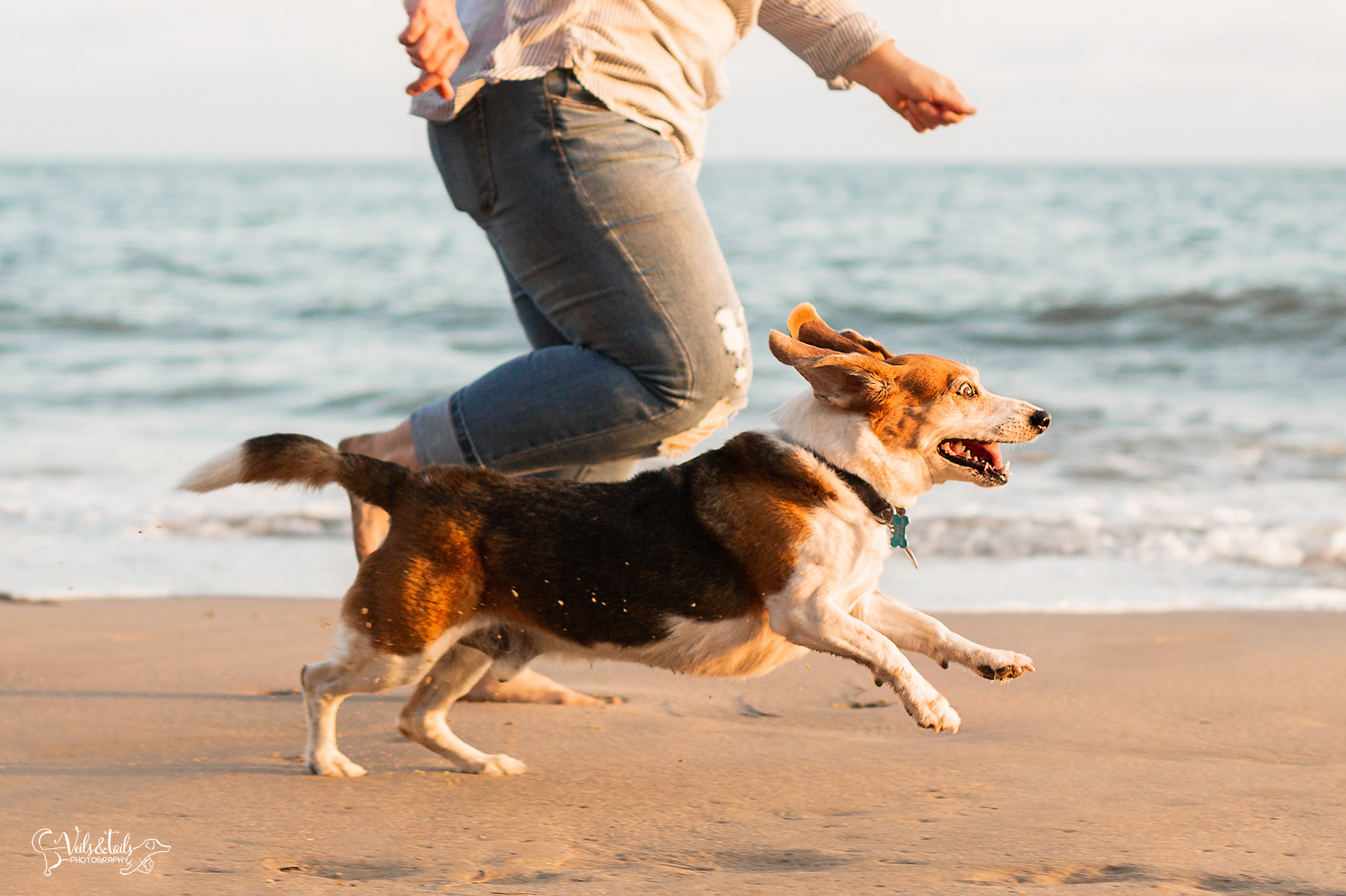 santa barbara adventure session photography
