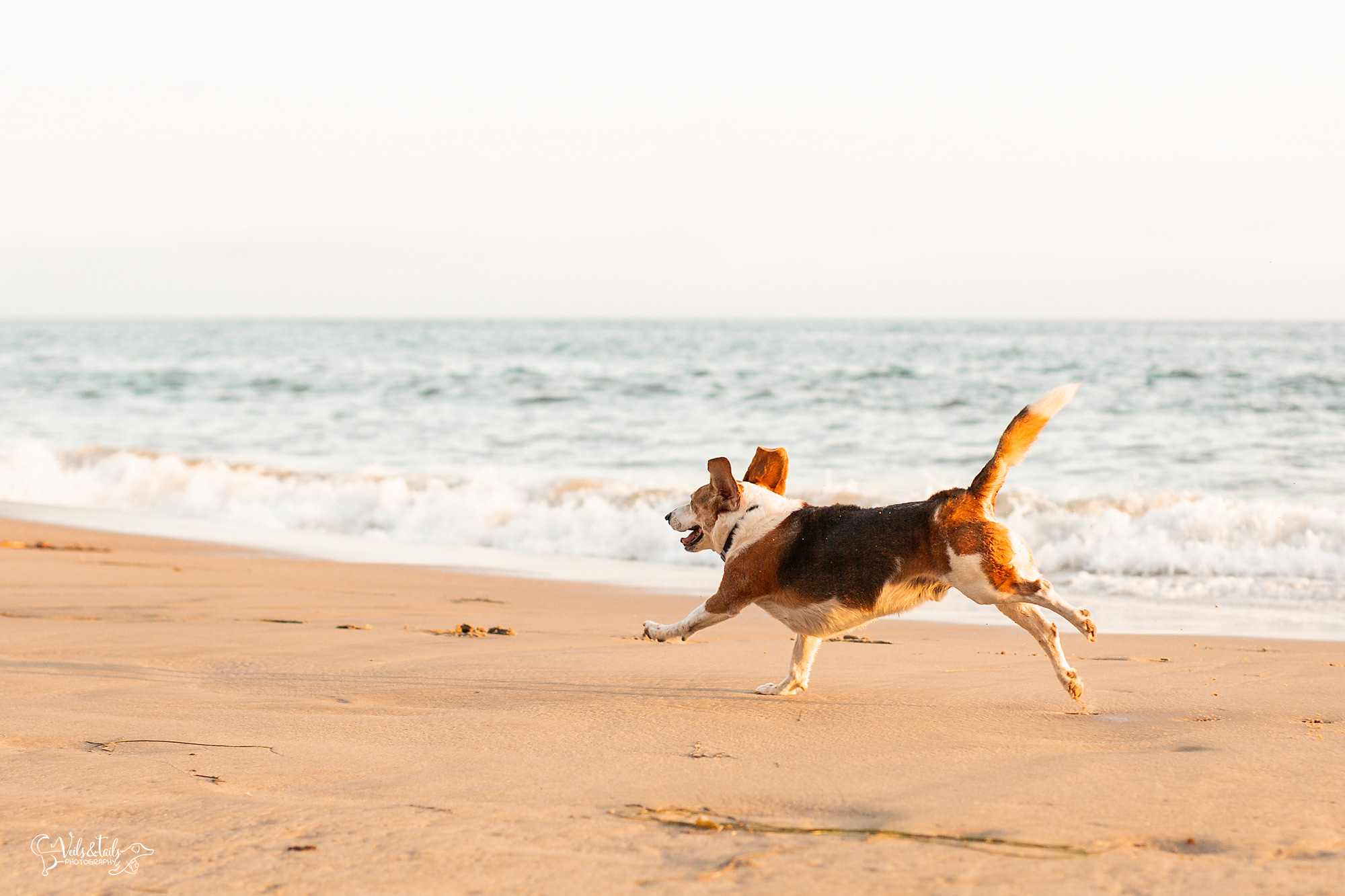 santa barbara beach photography