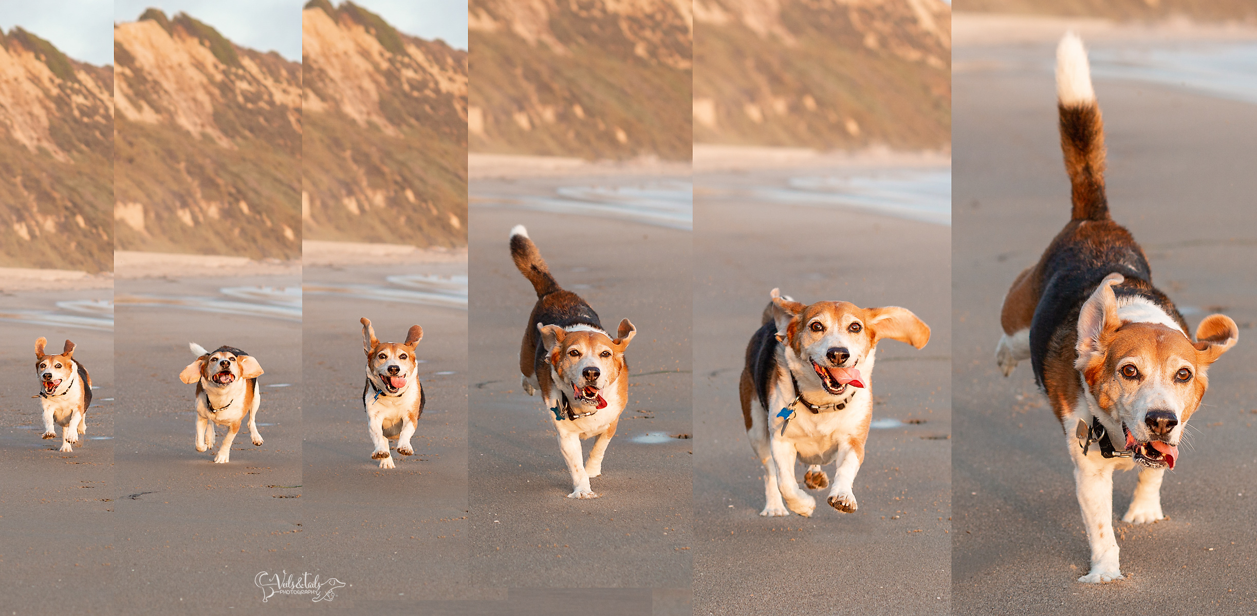 santa barbara action composite photography