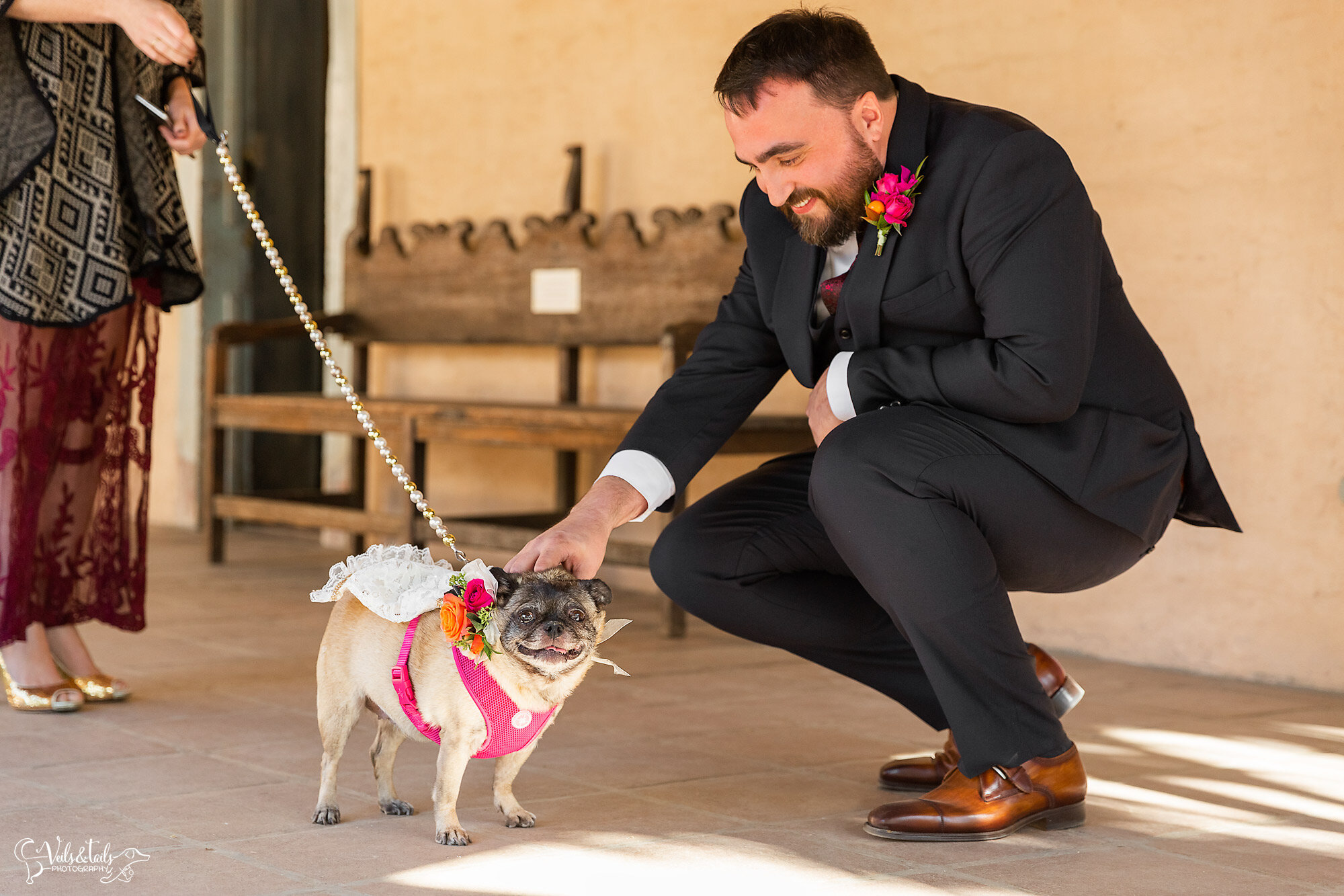 First Look with the dog, wedding photography, Santa Barbara