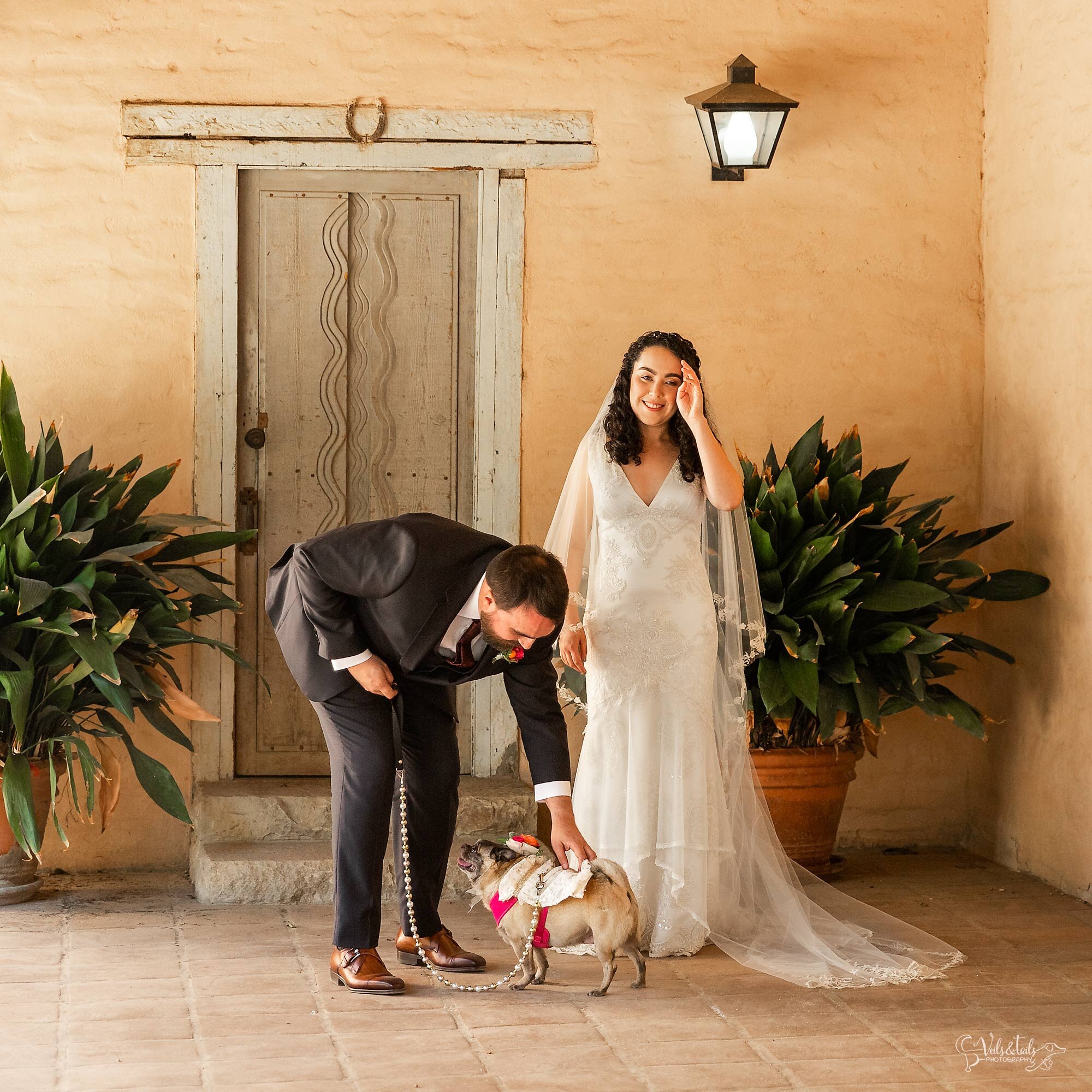Bring your dog to your wedding, Veils &amp; Tails wedding photography