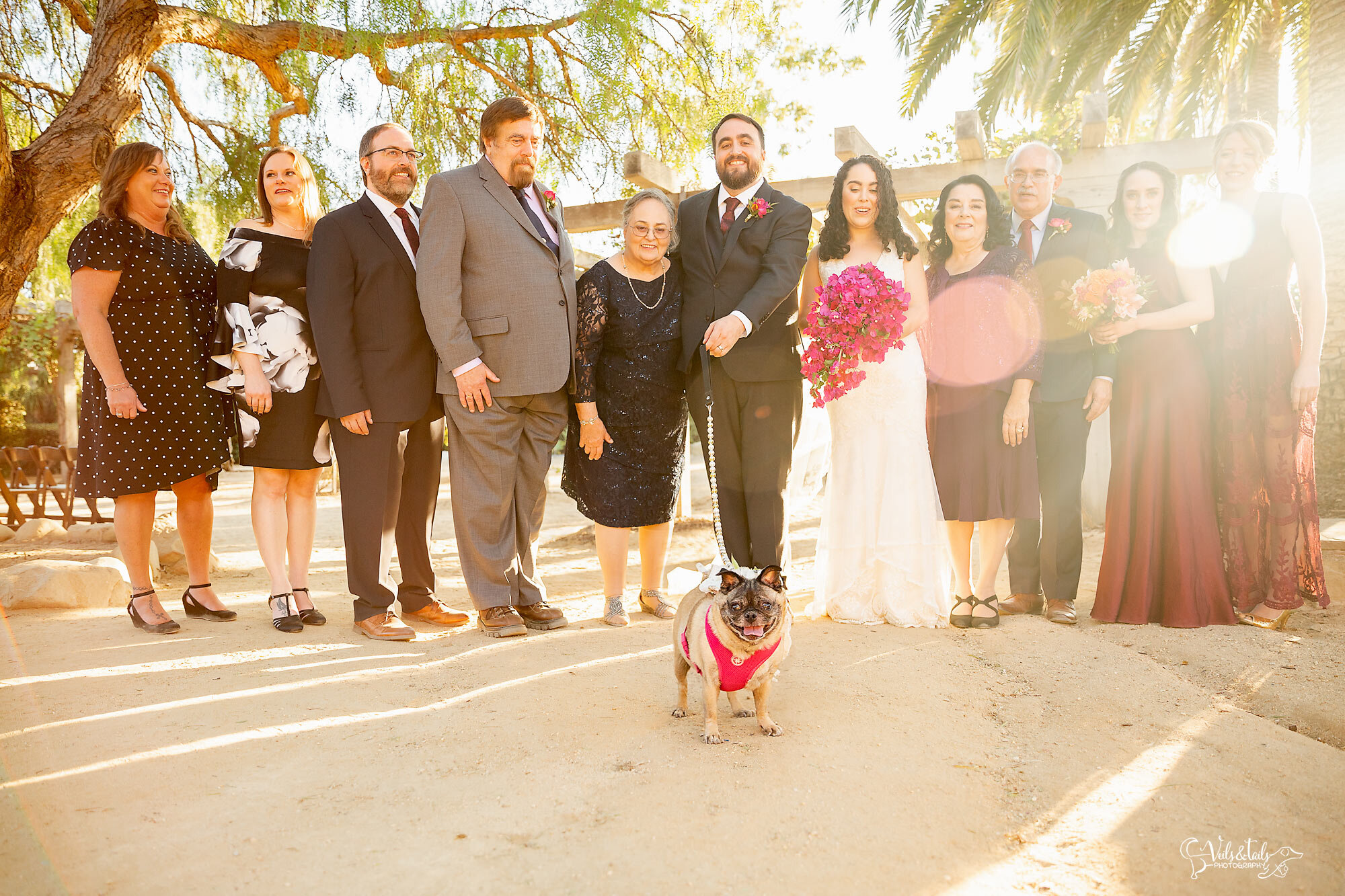 bring your dog to your wedding, pet and wedding photography
