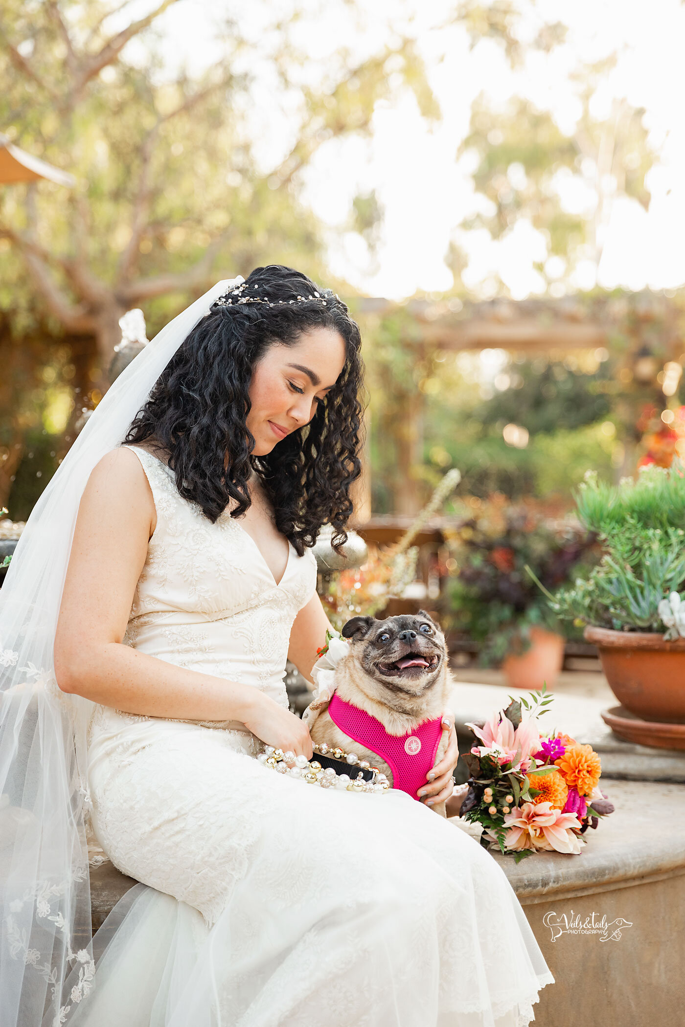 dog of honor, rescue pug, south coast wedding photography