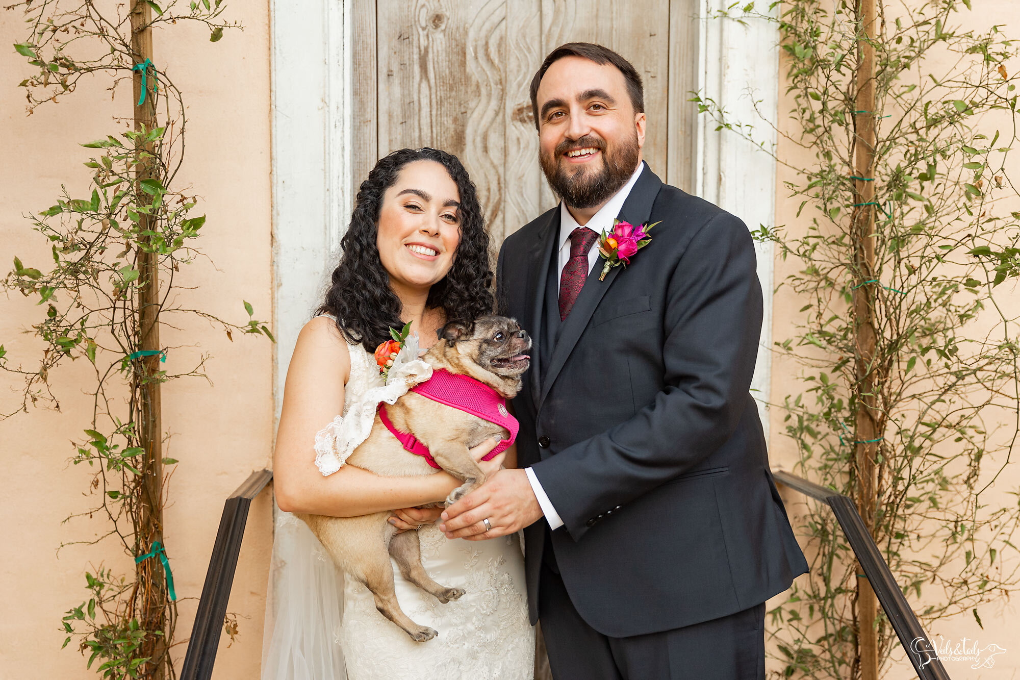 weddings with dogs, bride and groom with pug, Santa Barbara pet and wedding photography