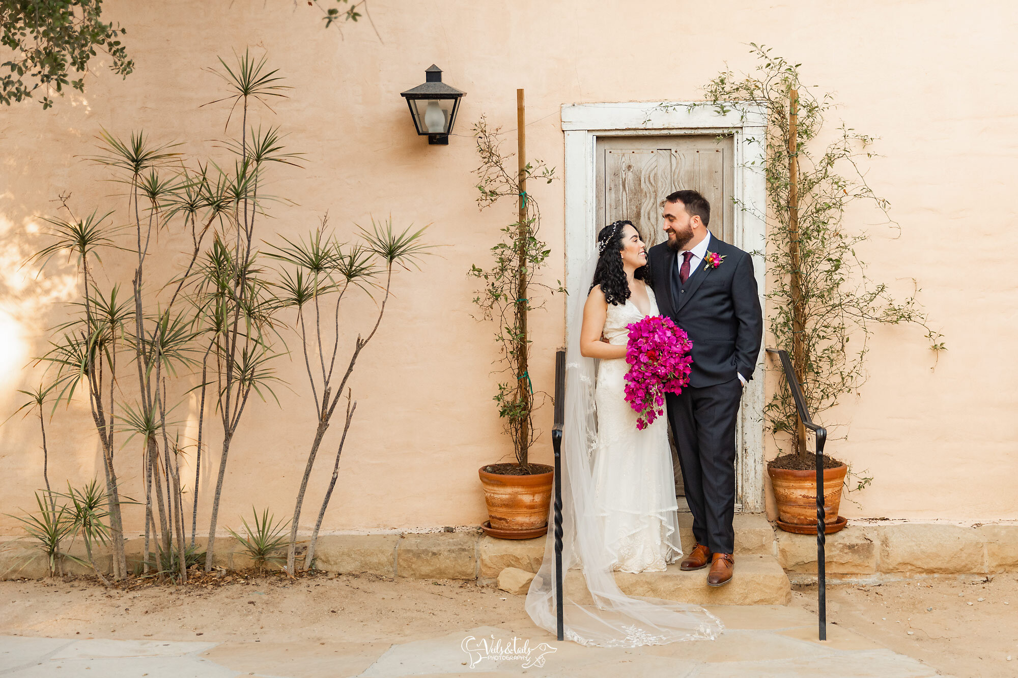 Santa Barbara pet and wedding photography