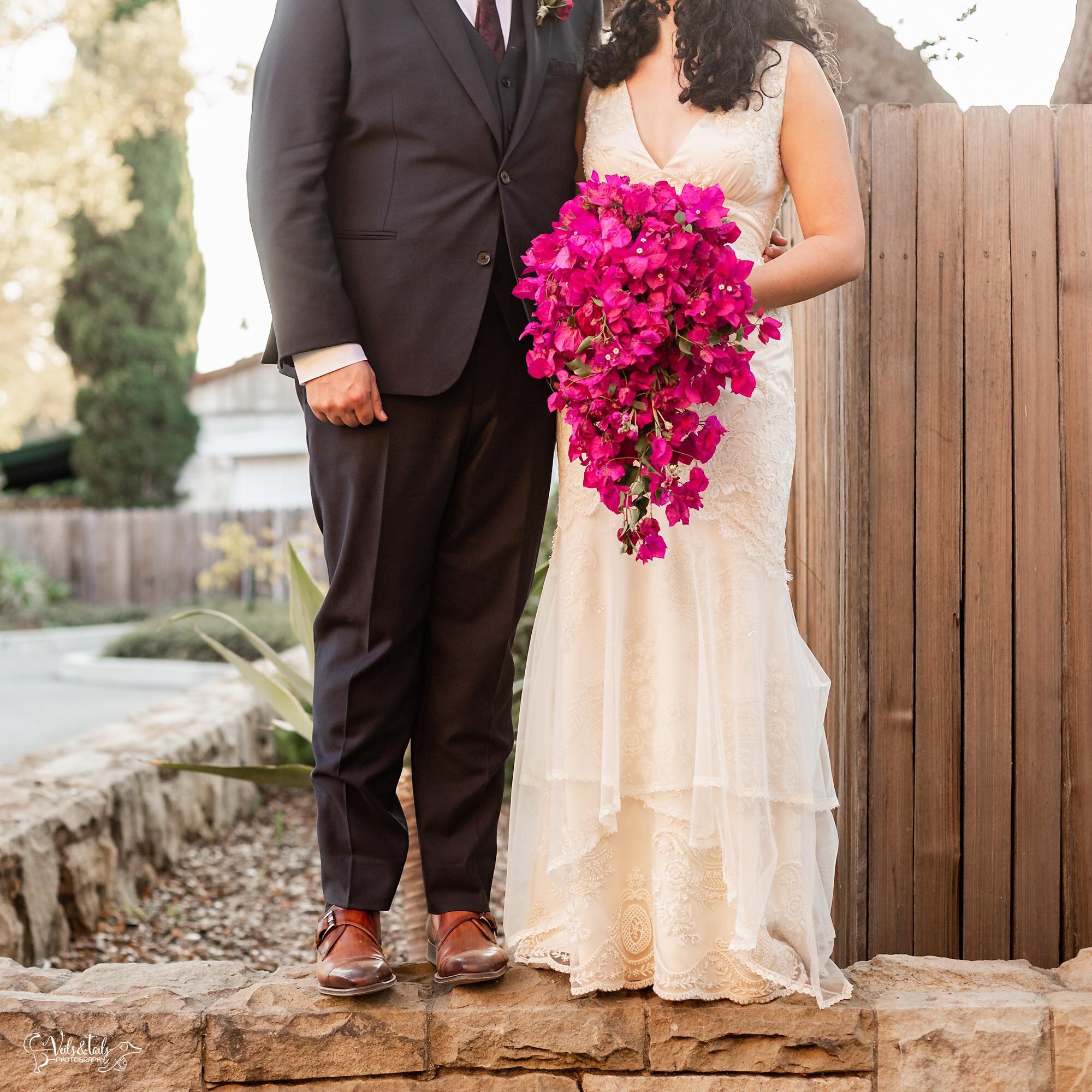 Santa Barbara pet and wedding photography