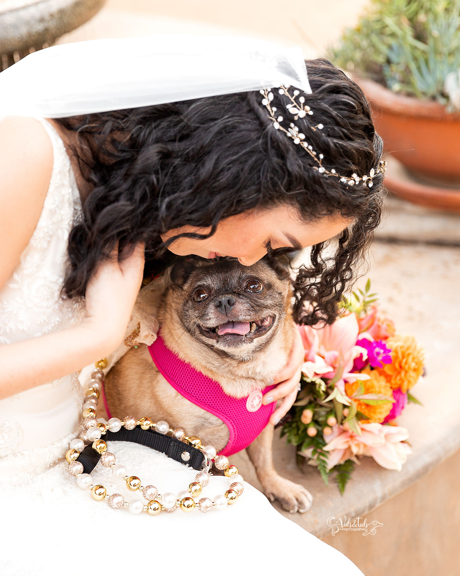 pug dog of honor, bridal portrait with her dog, Santa Barbara photographer