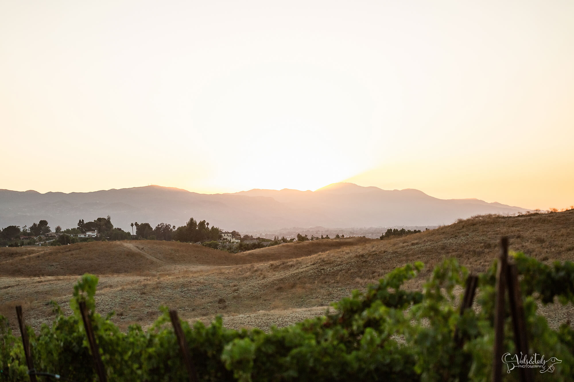 winery wedding, San Diego, California