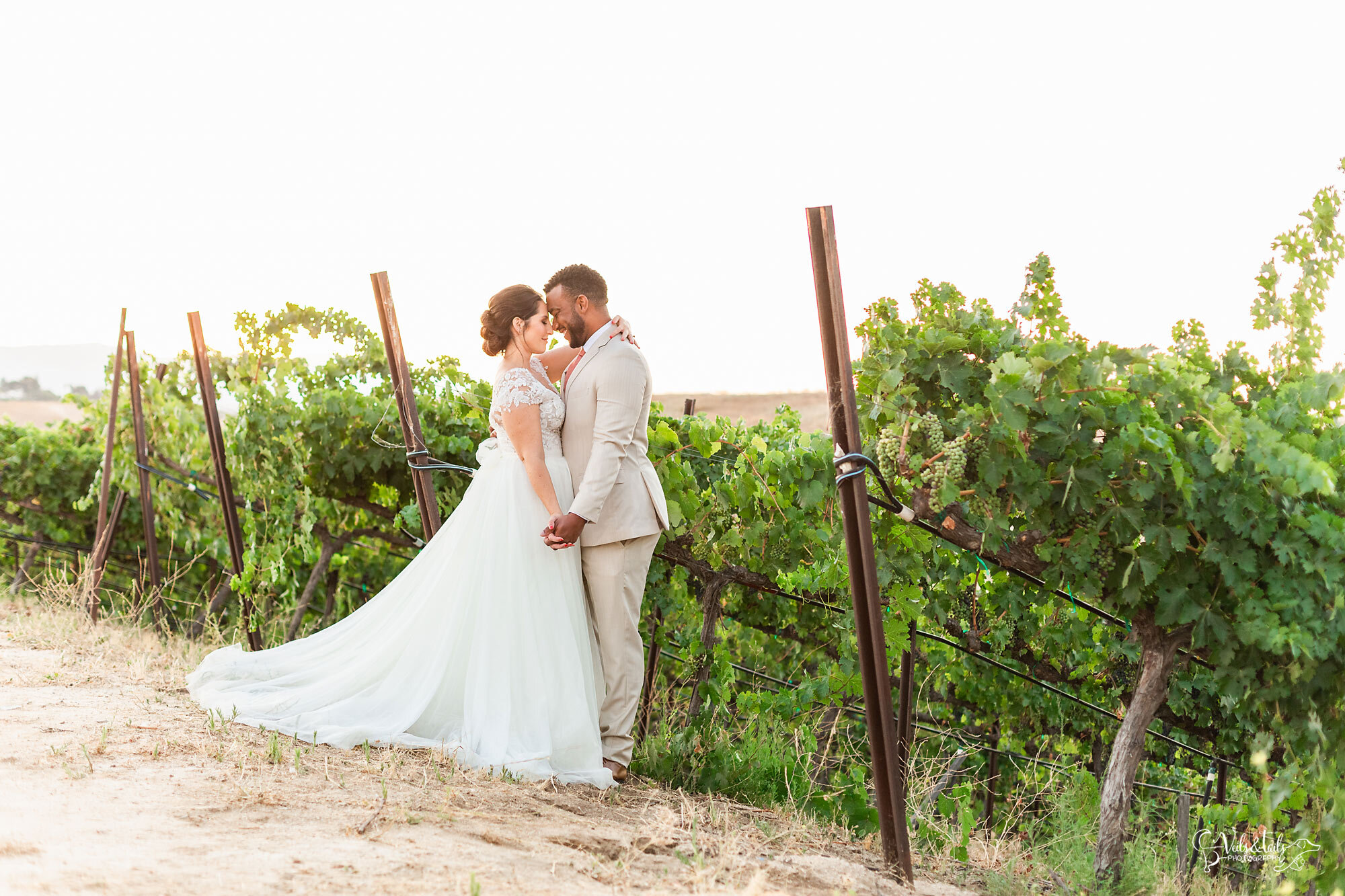 wedding dress and tan tux inspo, intimate wedding photography, small wedding, southern california photographer