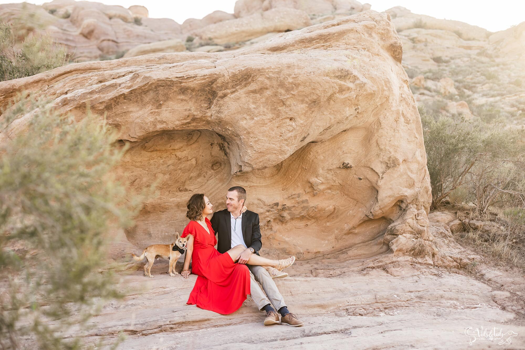 desert engagement photography, southern california, with the dog