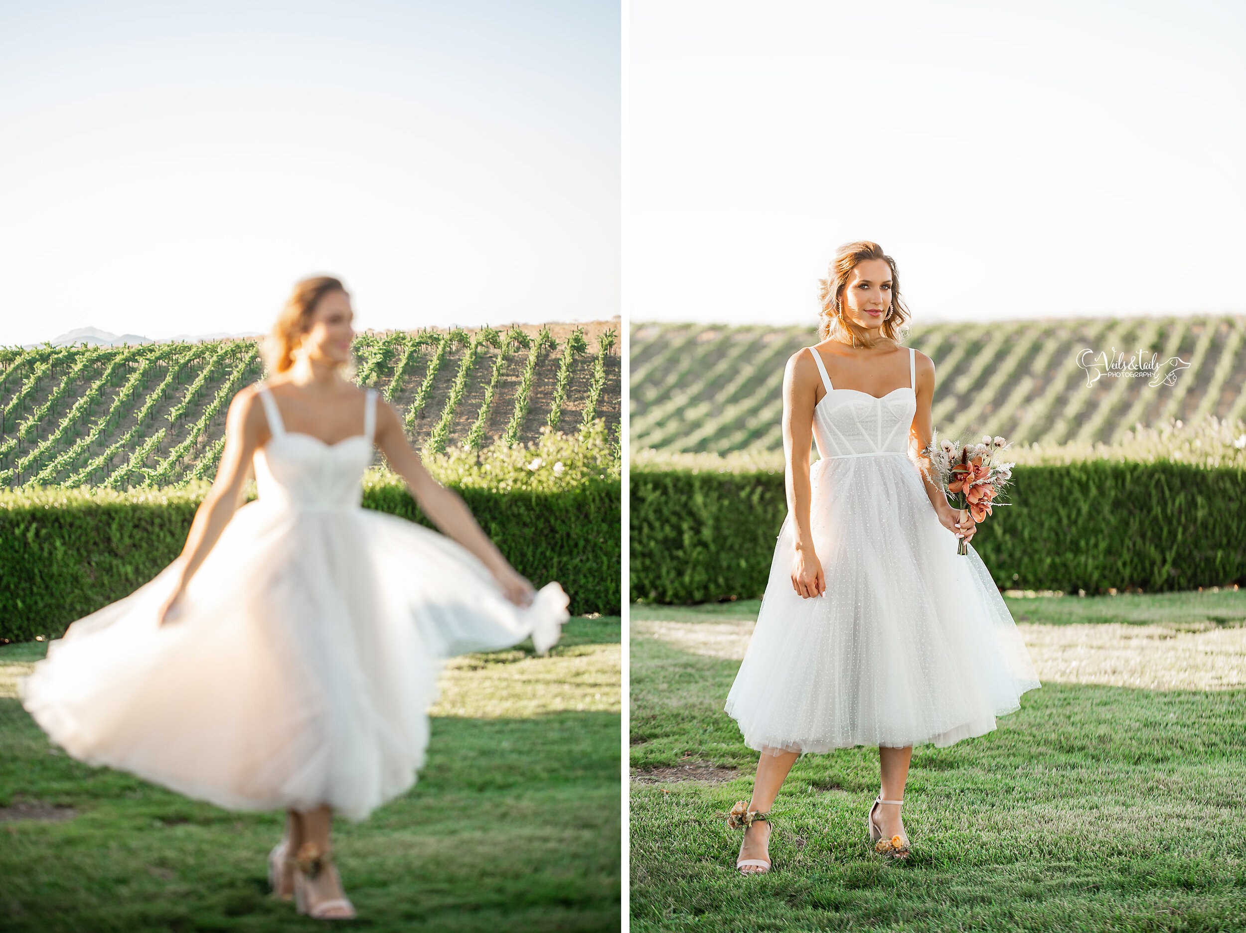 Temecula vineyard wedding photography