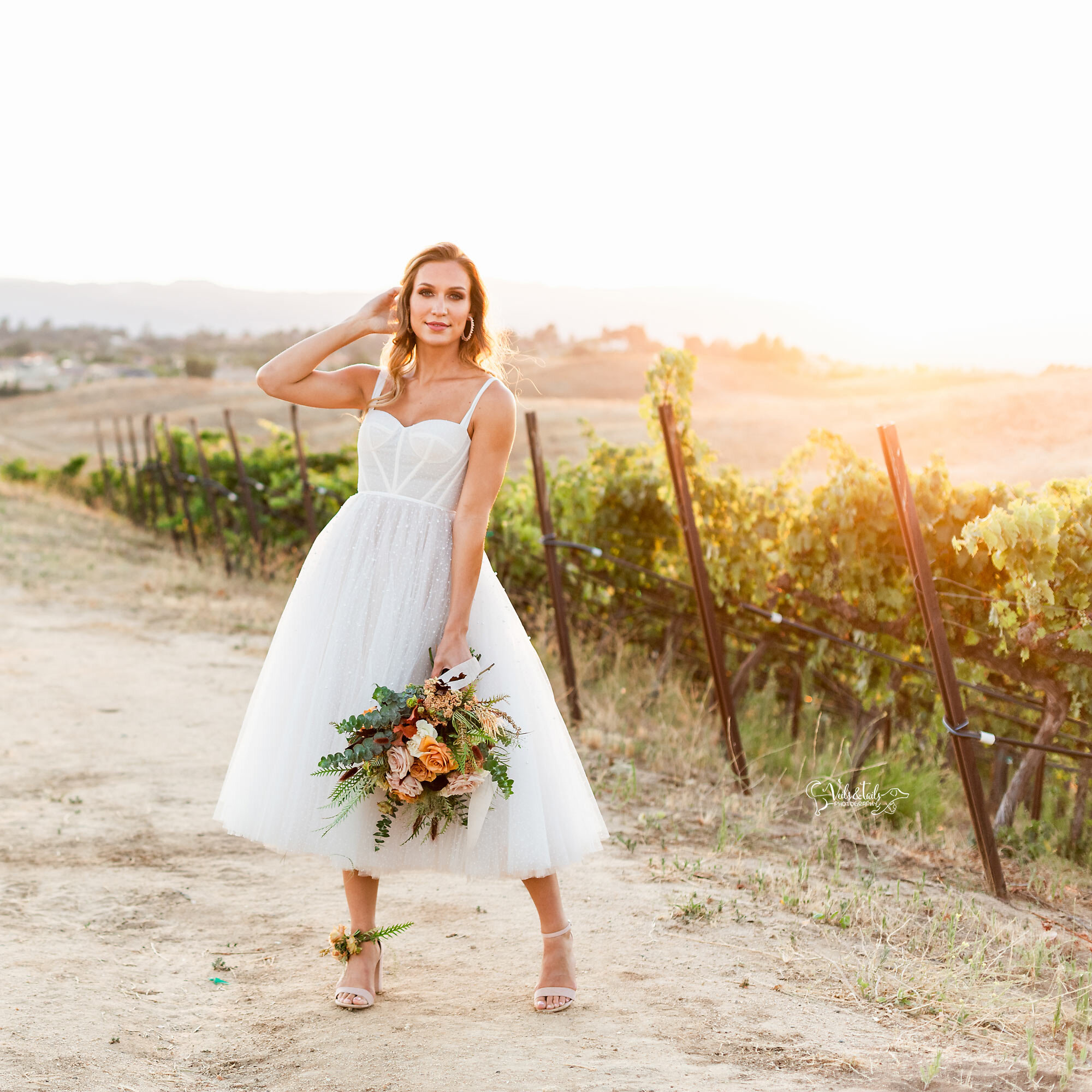 golden hour winery wedding photography, San Diego California