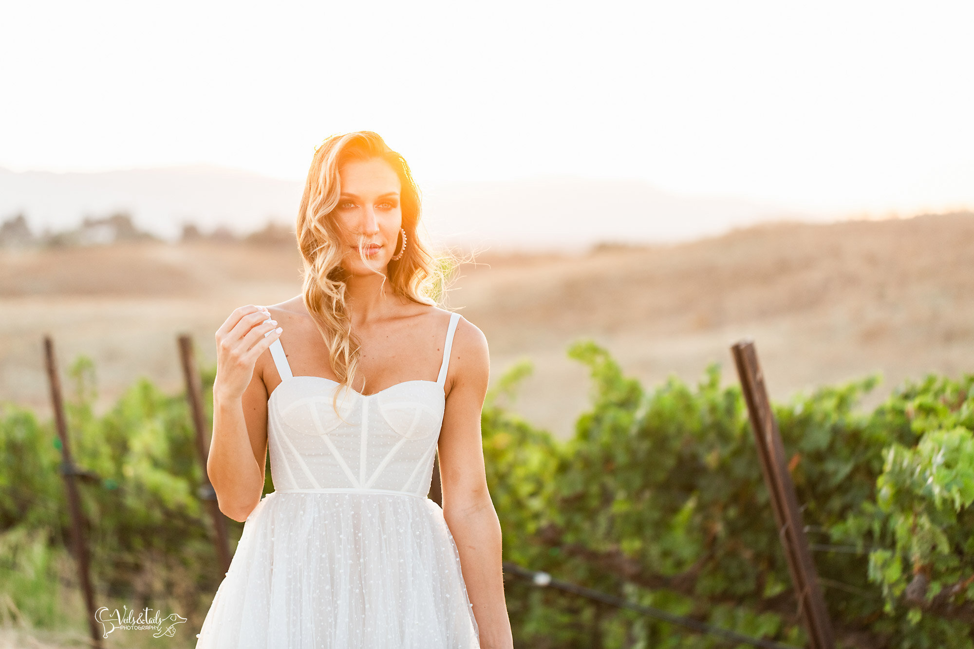 golden hour bridal portrait, Callaway Winery weddings, by Veils &amp; Tails Photography