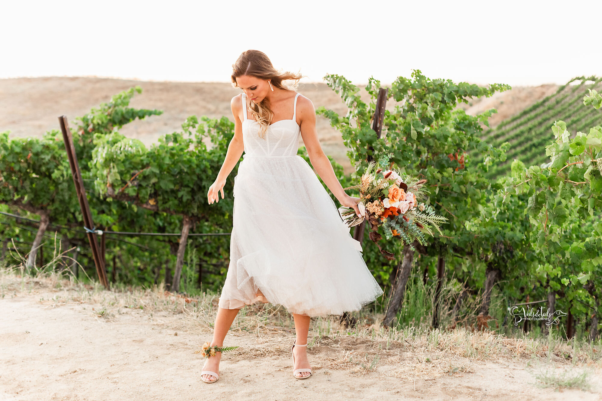 golden hour bridal portrait, Callaway Winery weddings, by Veils &amp; Tails Photography