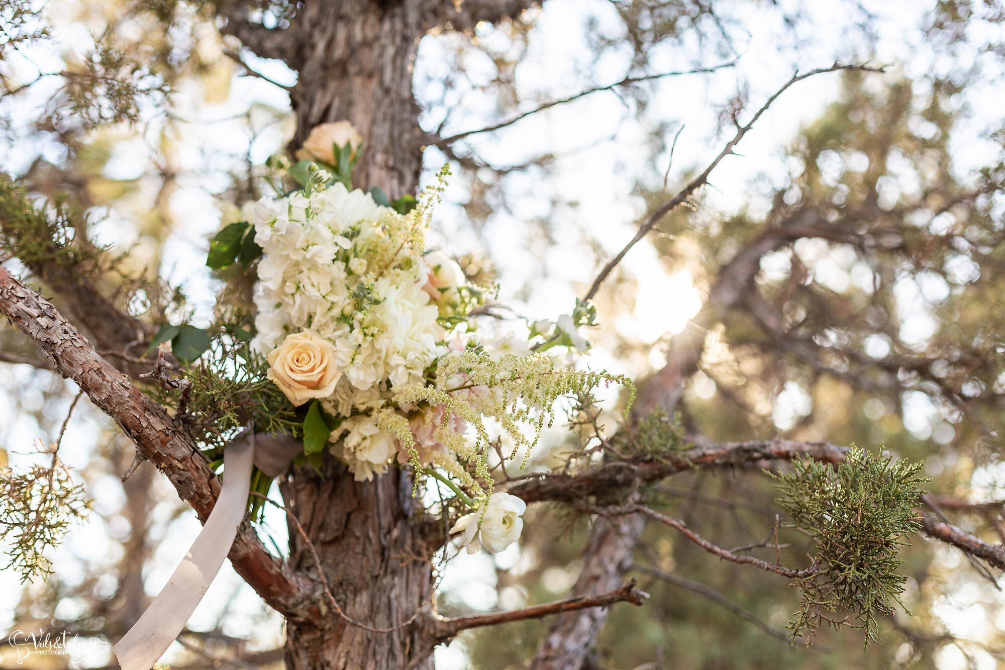 nature elopement photography Smith Rock Oregon