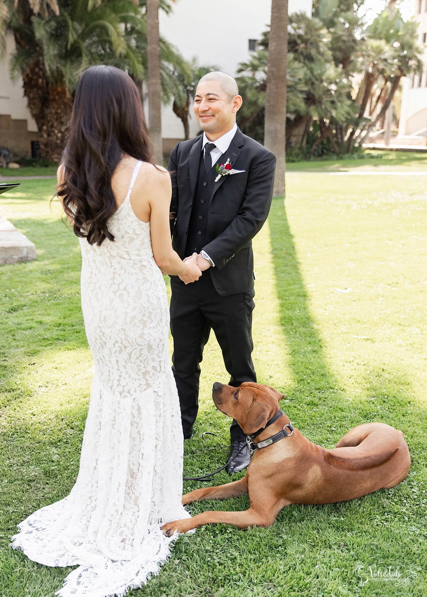 Santa Barbara Courthouse wedding with the dog