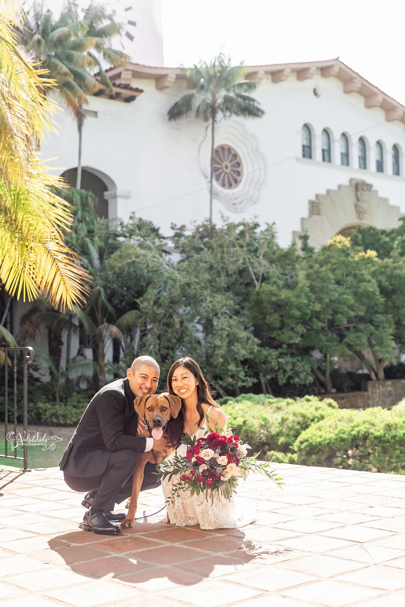 Santa Barbara Courthouse wedding photographer with ridgeback dog