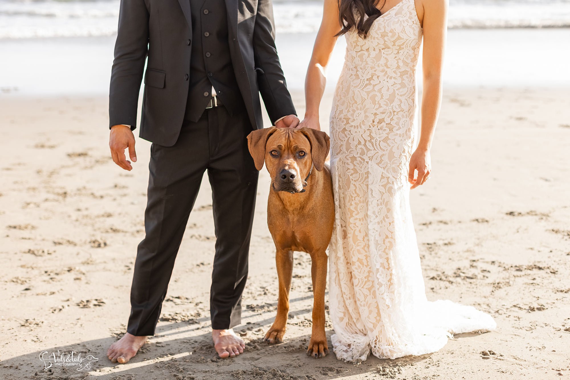 Santa Barbara beach wedding photographer with dog