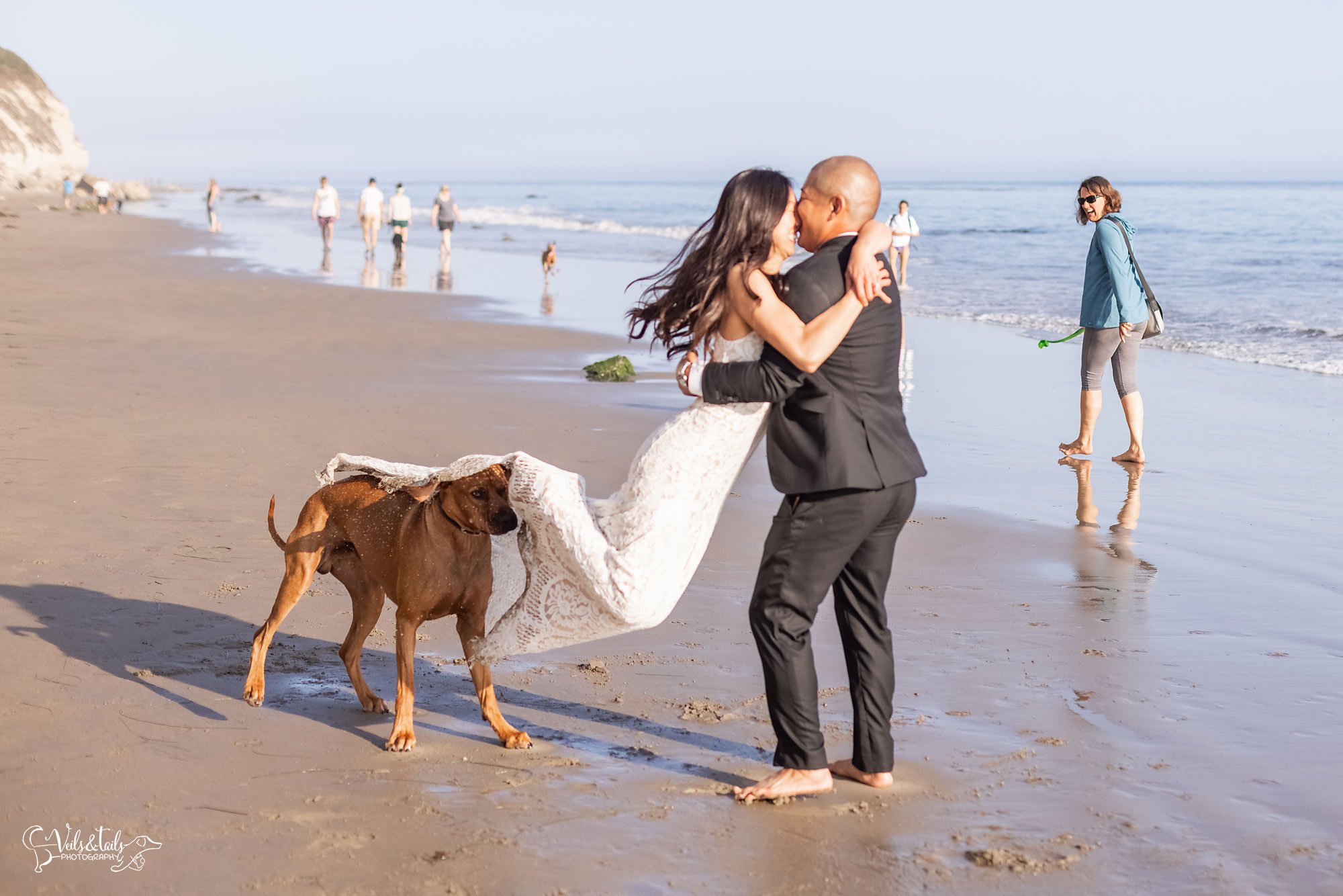 Santa Barbara beach elopement photographer with dog blooper