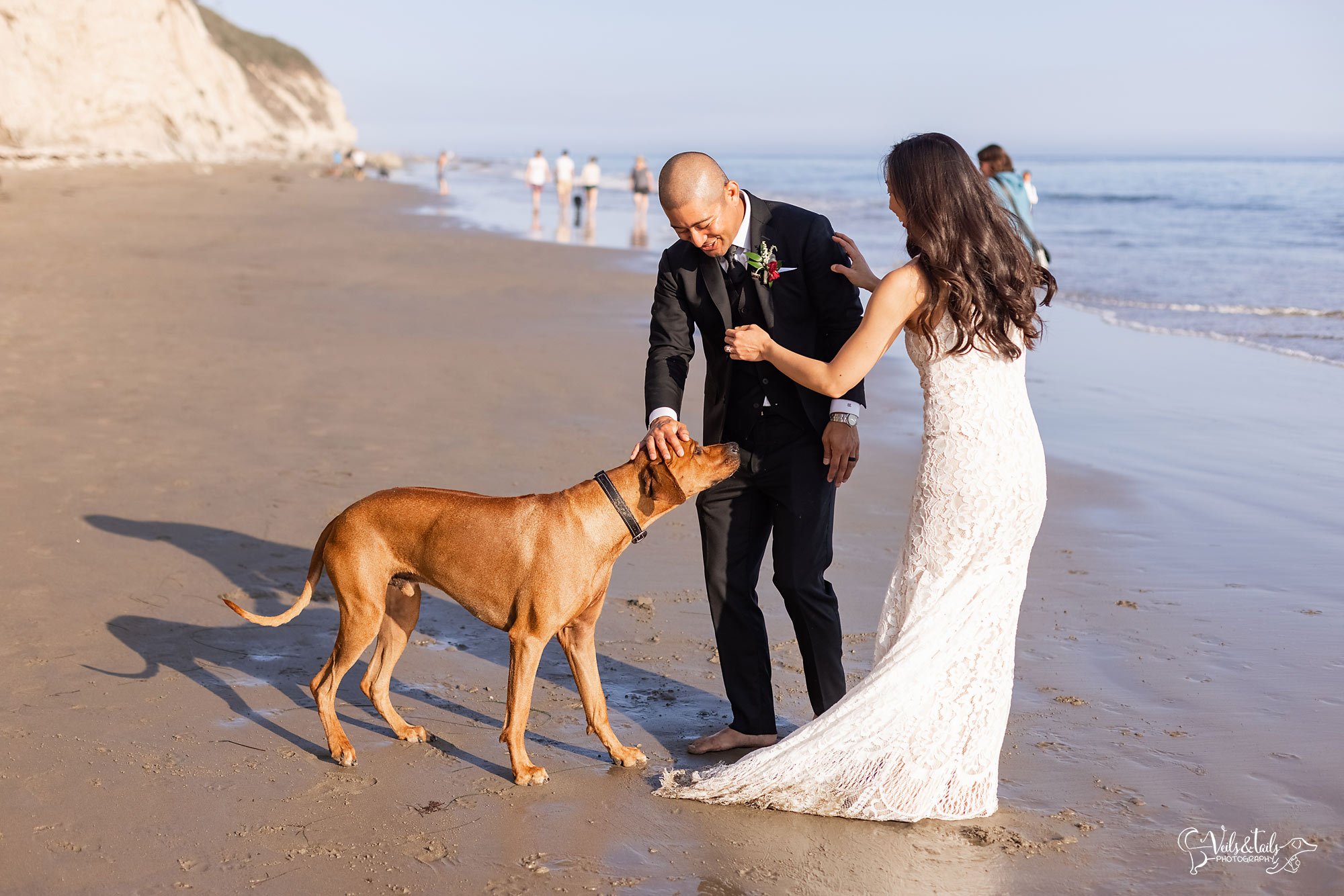 Santa Barbara beach elopement photographer with dog