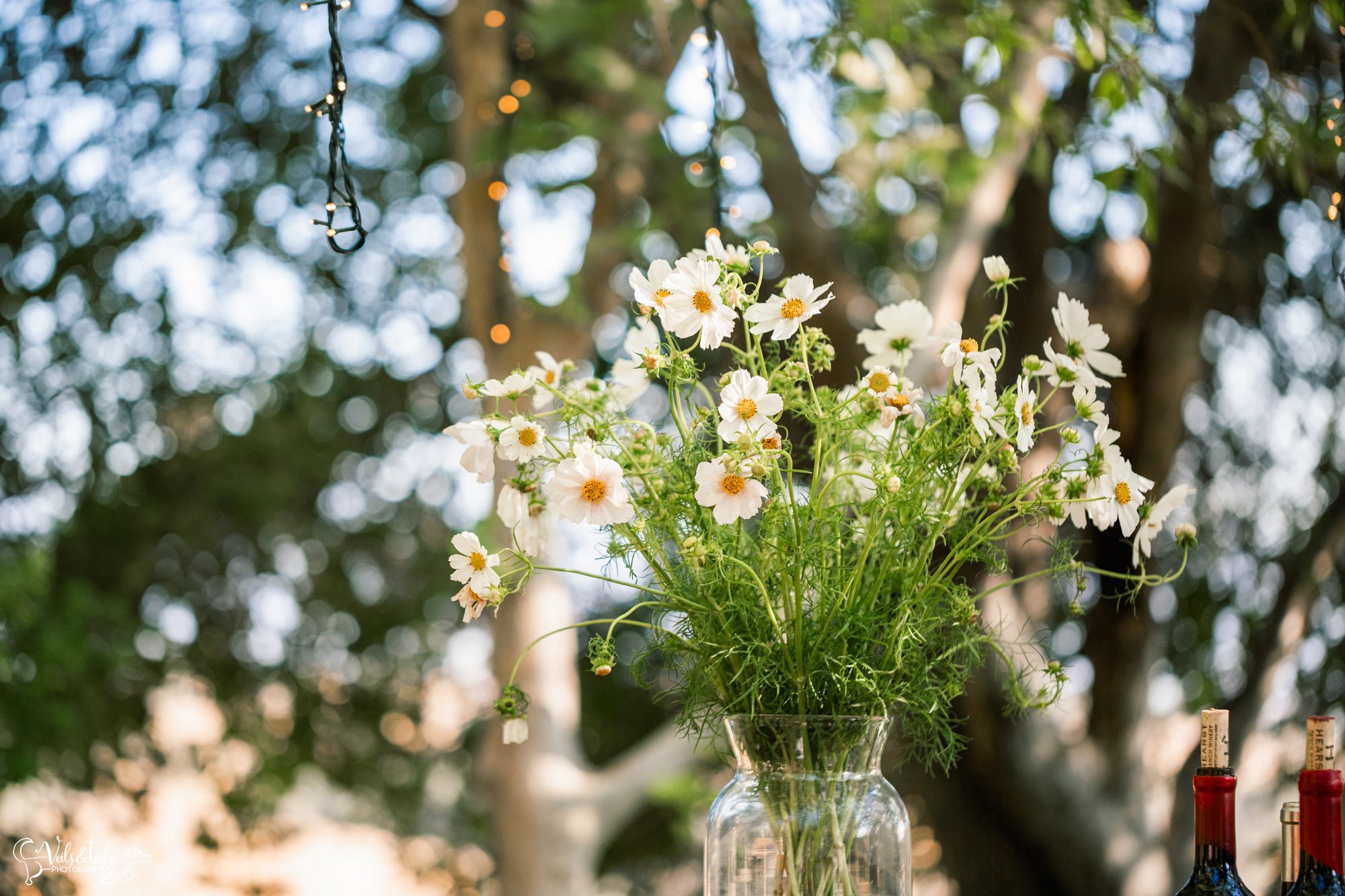 Santa Barbara wedding photographer details