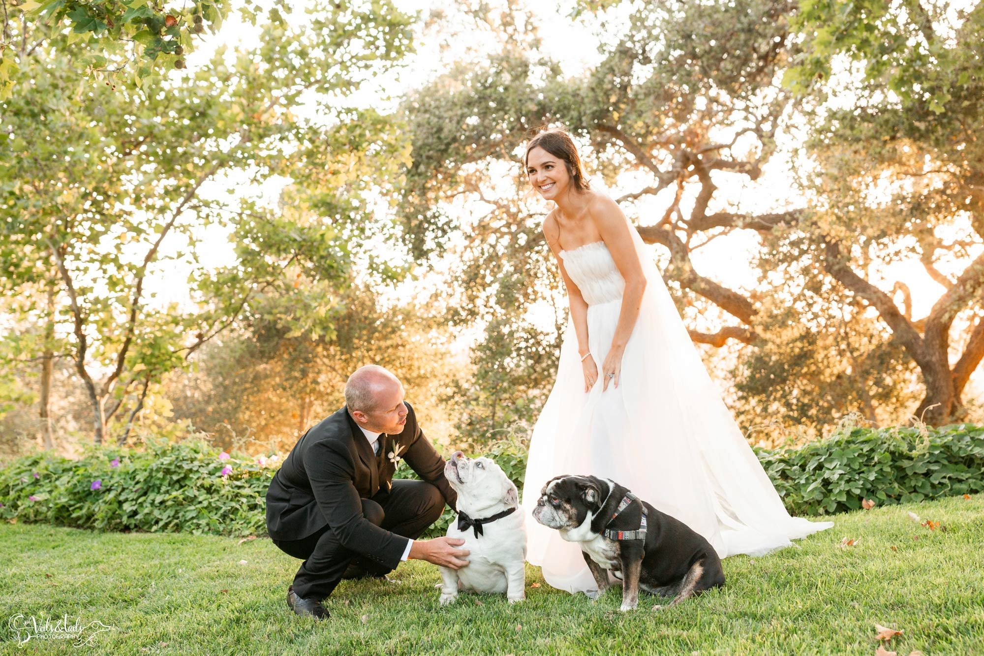 clean and airy wedding with the dogs photographer Santa Barbara