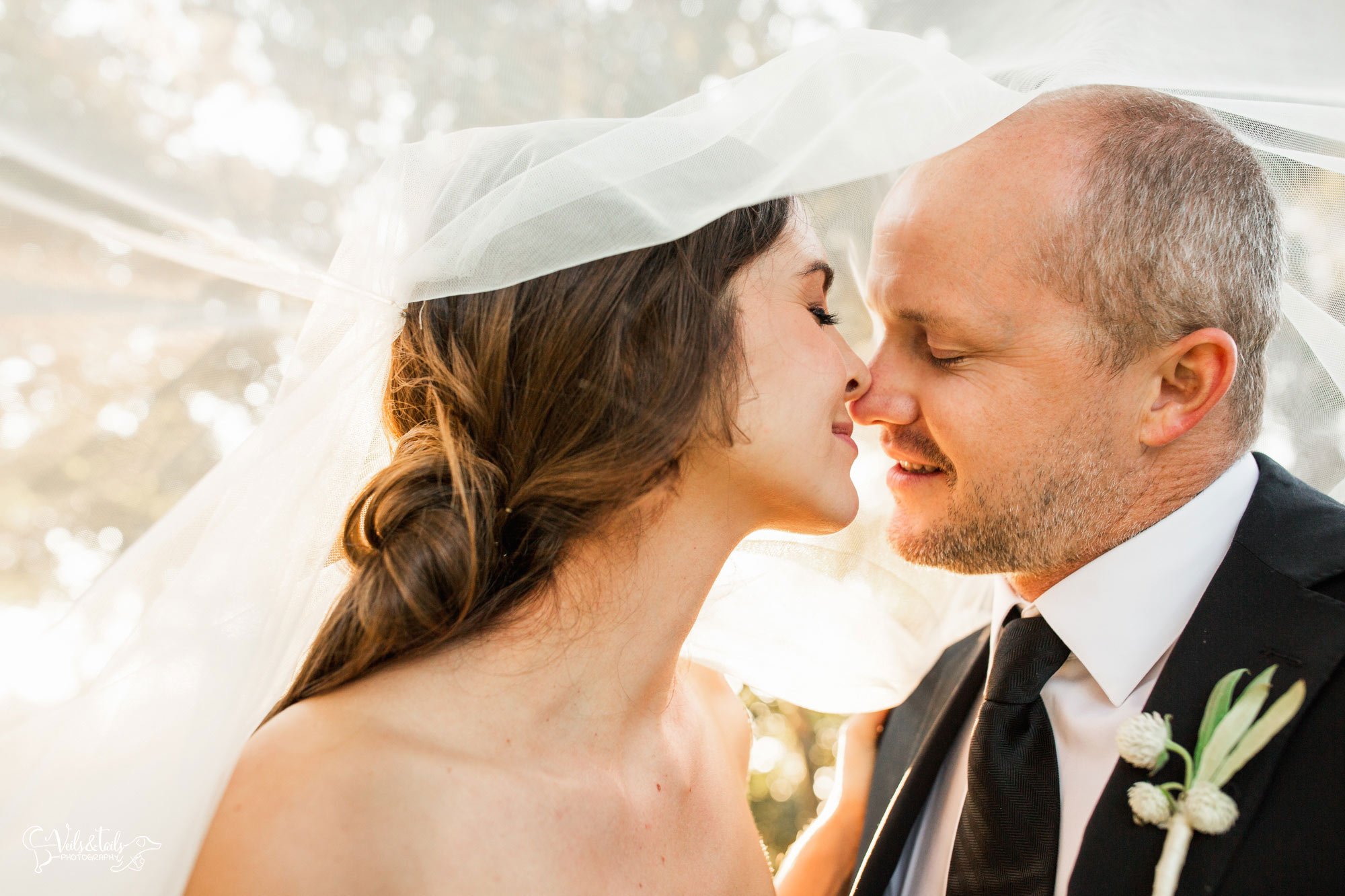 veil shot bride and groom wedding photography Santa Ynez