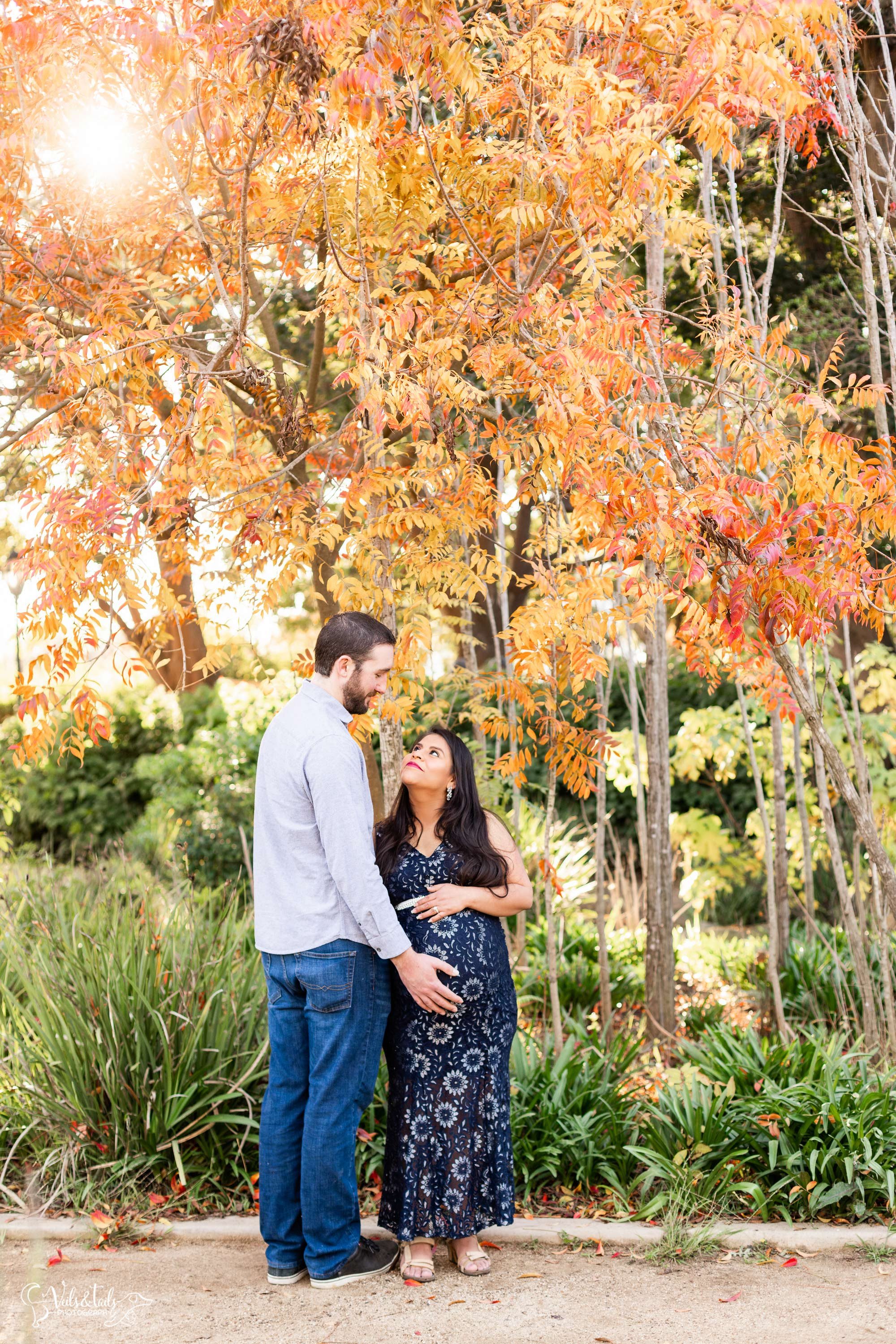 autumn fall maternity session photographer Santa Barbara, California