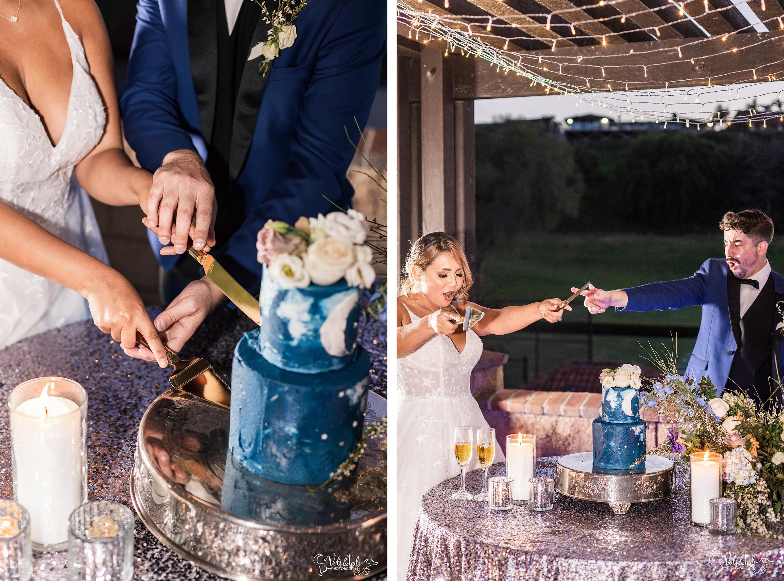 cake cutting, moon and stars themed wedding, Veils &amp; Tails Photography, South Hills Country Club photographer, Southern California