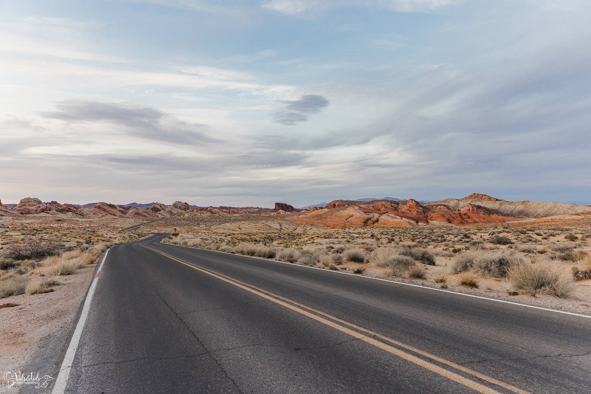 desert elopement photographer