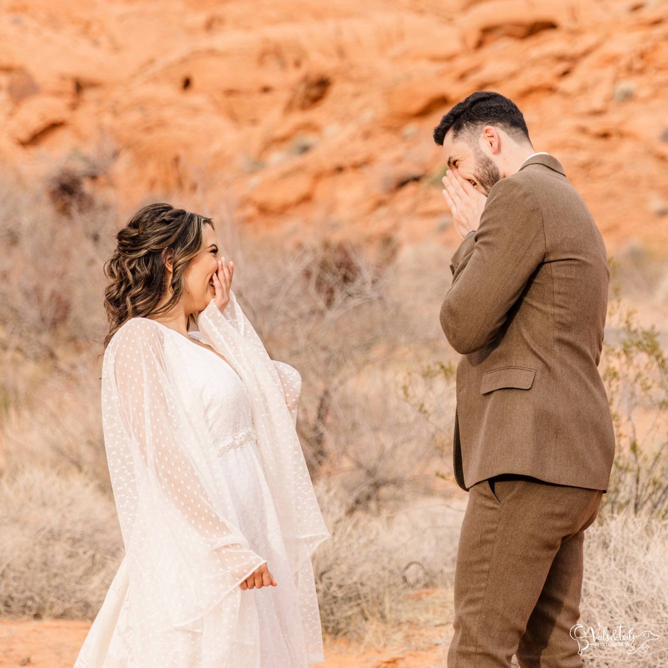 first look, boho desert elopement photography, Valley of Fire, Nevada