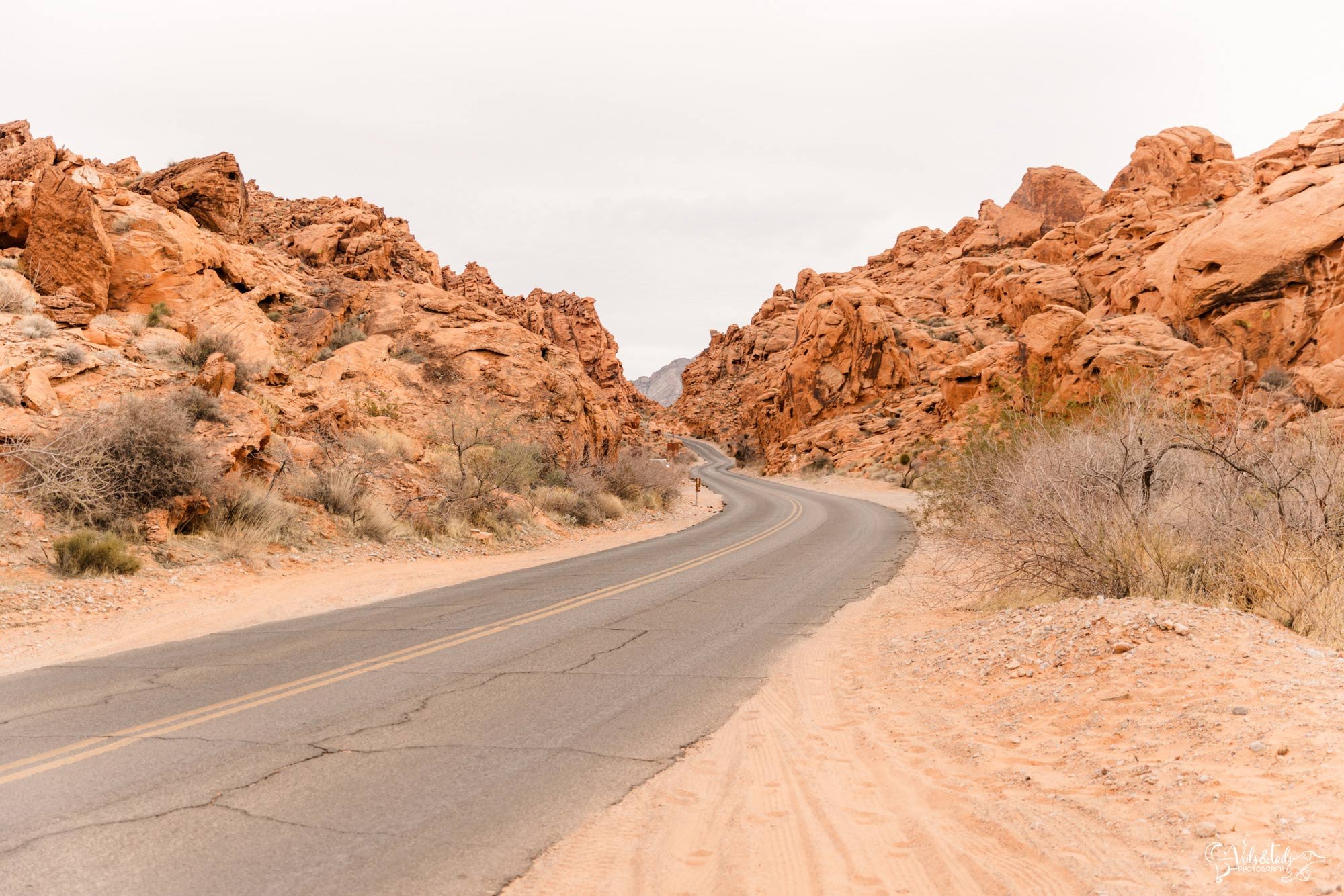 boho wedding style, desert adventure elopement photography Valley of Fire, Nevada