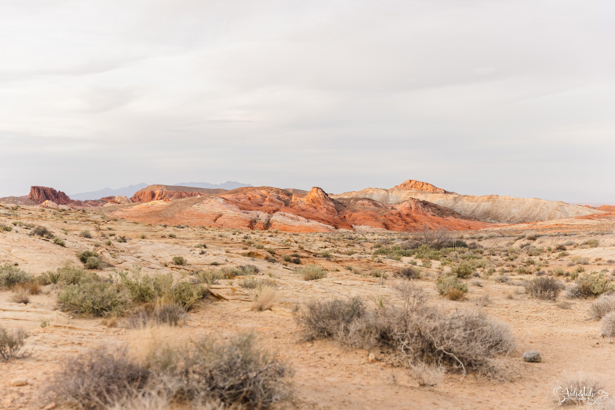 boho wedding style, colorful desert adventure elopement photography Valley of Fire, Nevada