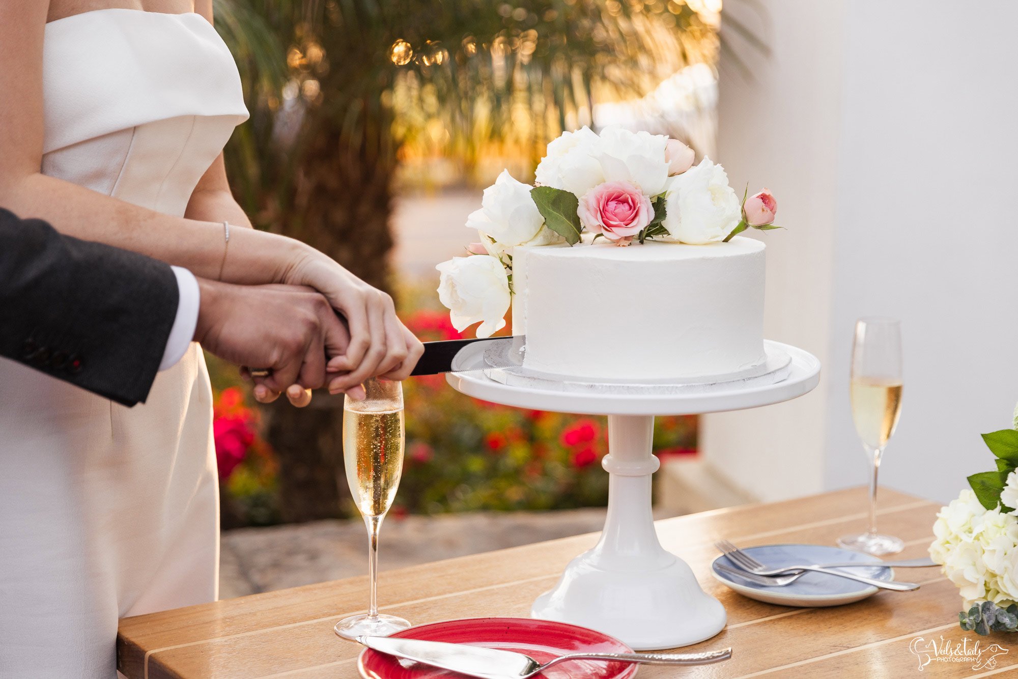 Santa Barbara wedding photographer cake cutting