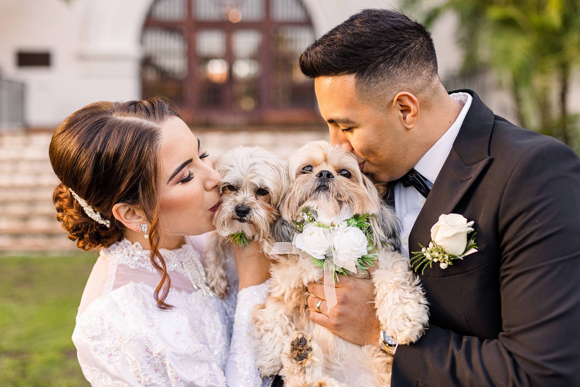 Santa Barbara Courthouse wedding photographer with dogs