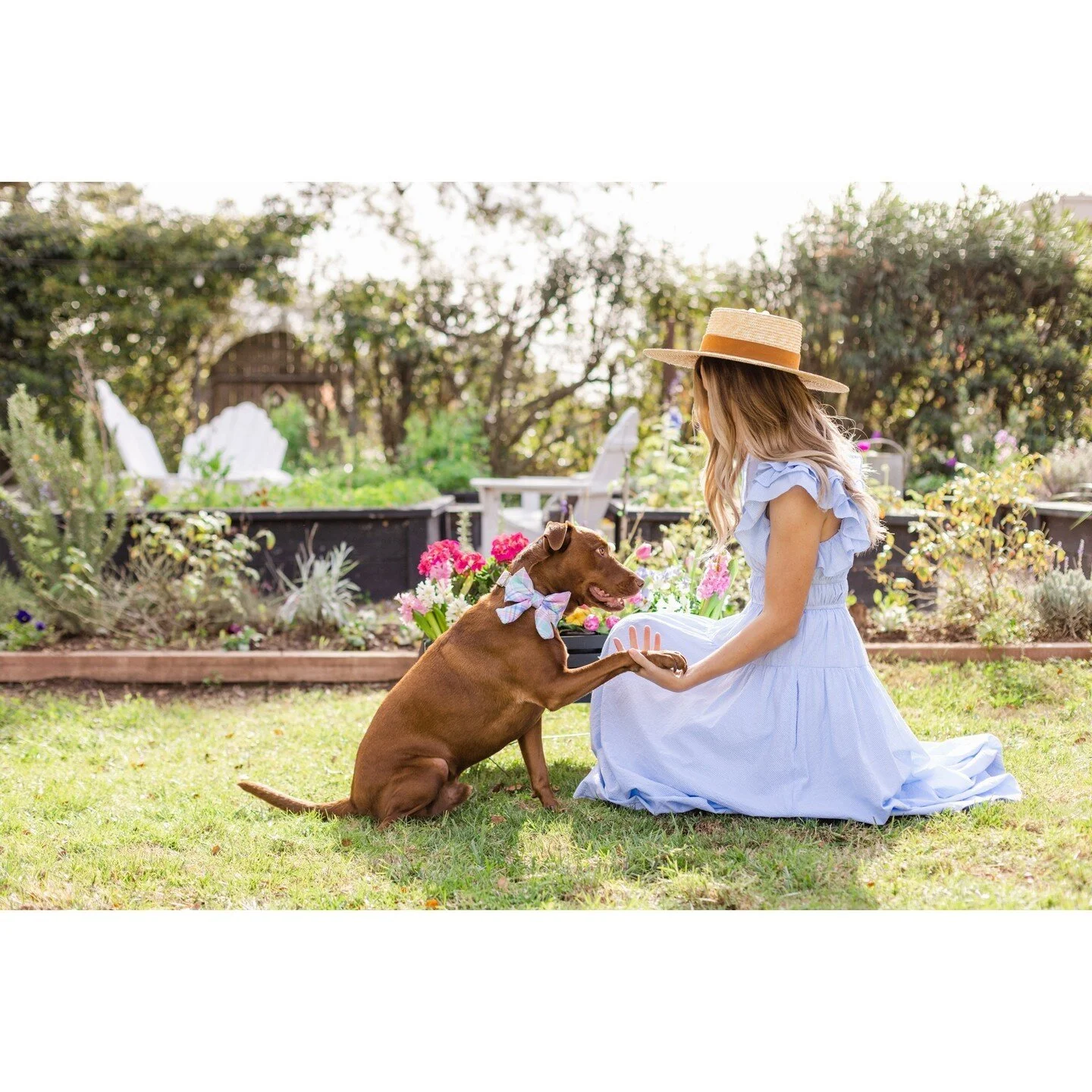 Look how cute and talented my puppy's best friend is! Cafe was a perfect angel for our spring shoot with @thefoggydog! I think we found his color palette too. 🖌️⁠
⁠
@lilisierrac_ @cafeconleche_thedog @thefoggydog