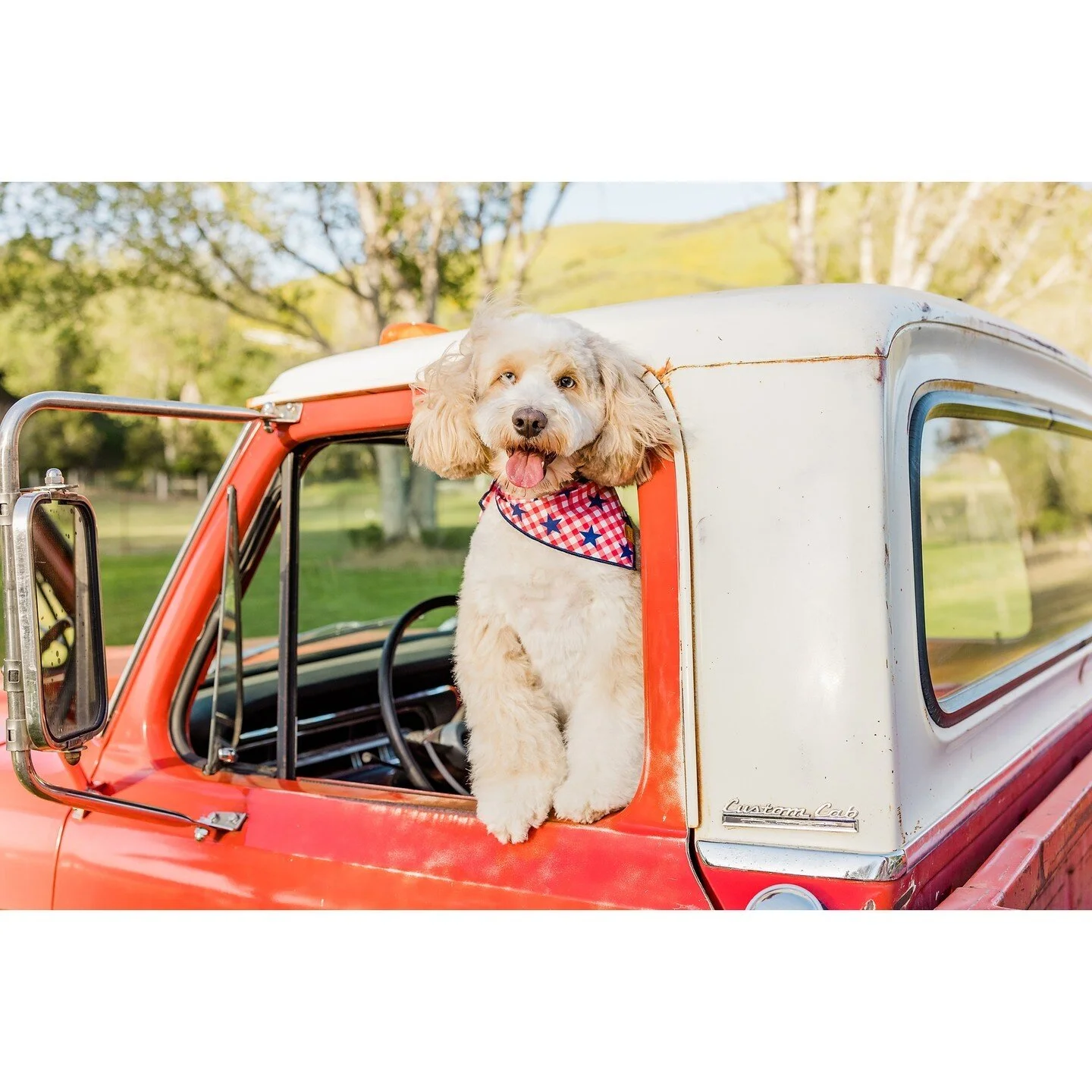 Did you see the latest release from @thefoggydog - Farmhouse Summer! I am so into the retro summer vibes, which have me all excited for backyard bbqs and picnics, and it was so much fun to shoot! We got to work at the stunning @hilltopguestranch whic