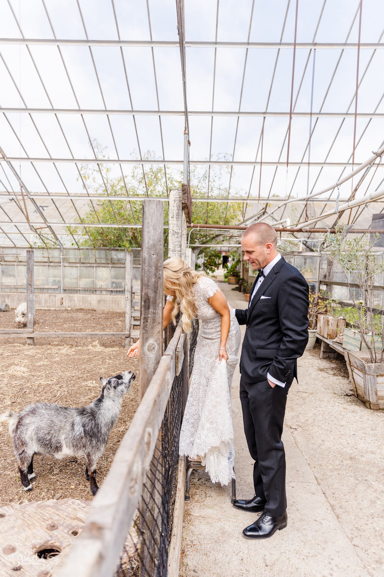 coastal farm greenhouse wedding in Santa Barbara - Dos Pueblos Orchid Farm Wedding Photographer