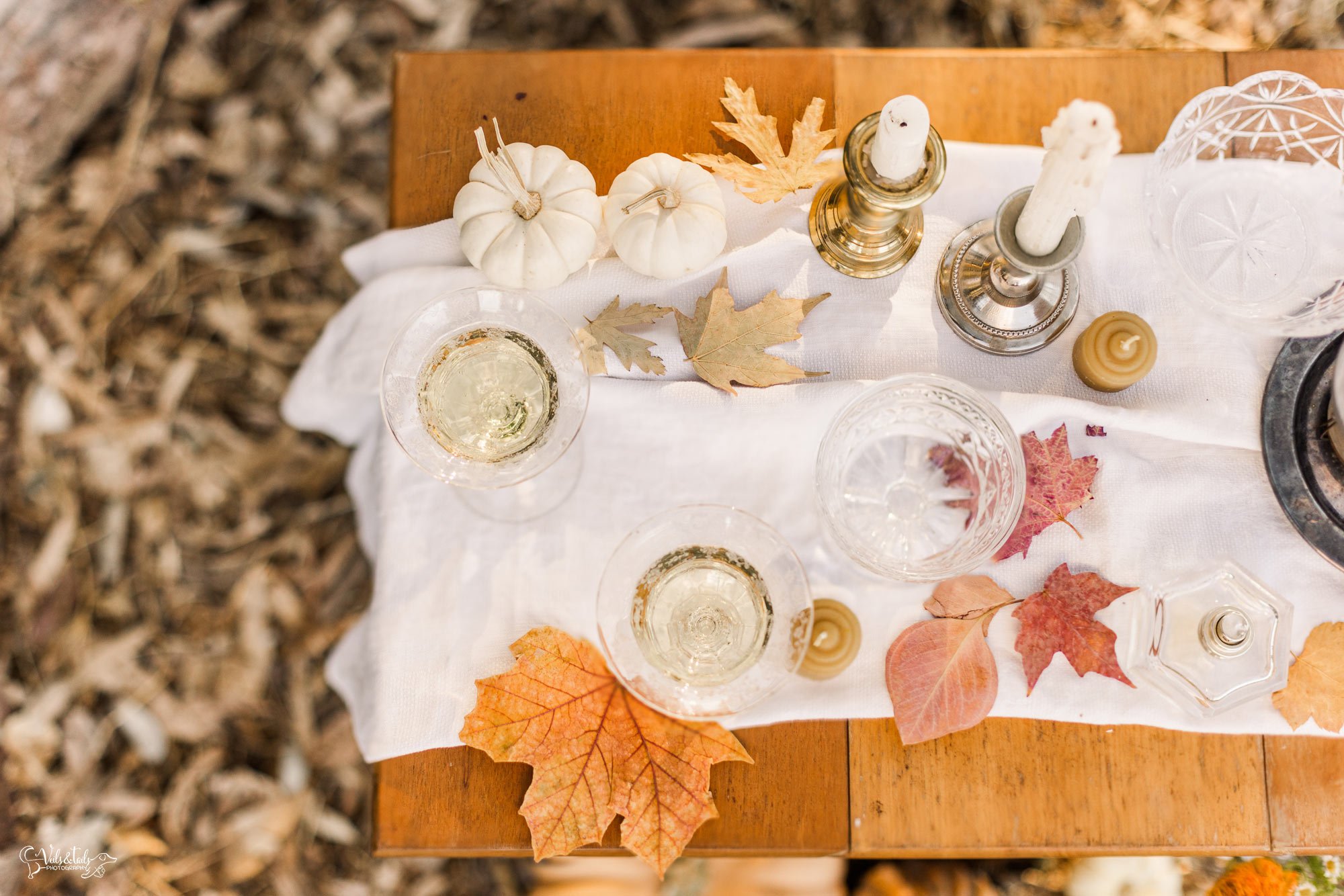 autumn table decor for elopement, drippy candles, fall leaves, pumpkins, champagne, Santa Barbara wedding photographer