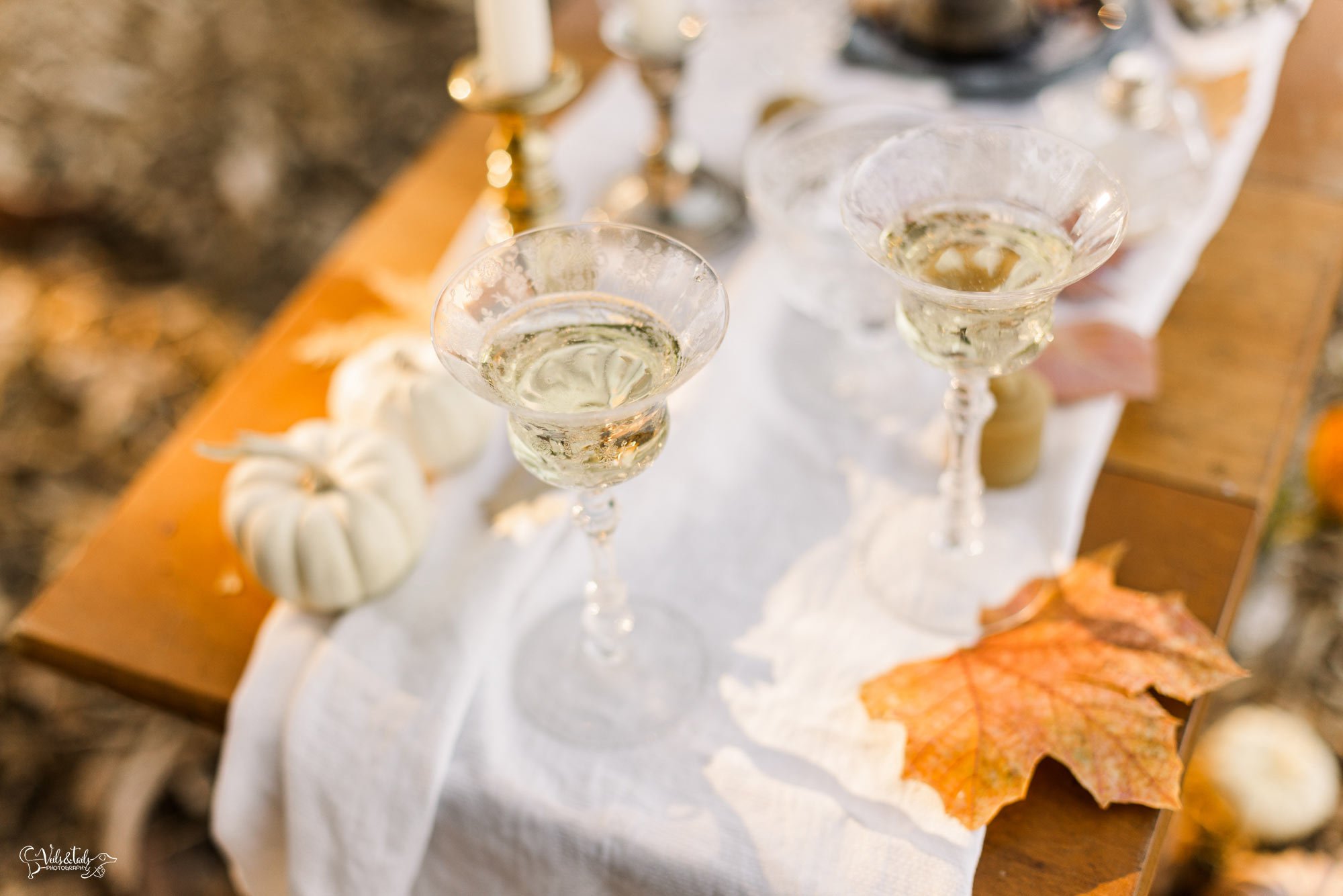 champagne and pumpkins, Santa Barbara historical autumn wedding inspo. Veils &amp; Tails Photography