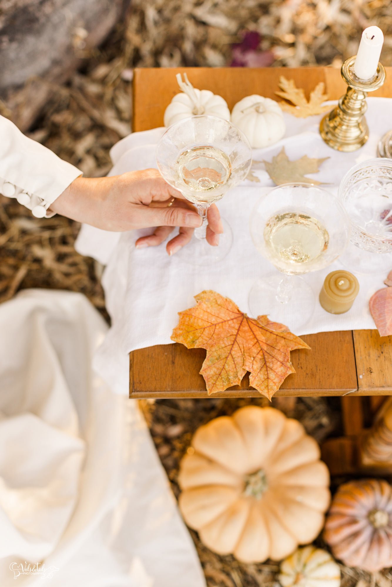 champagne and pumpkins, Santa Barbara historical autumn wedding inspo. Veils &amp; Tails Photography