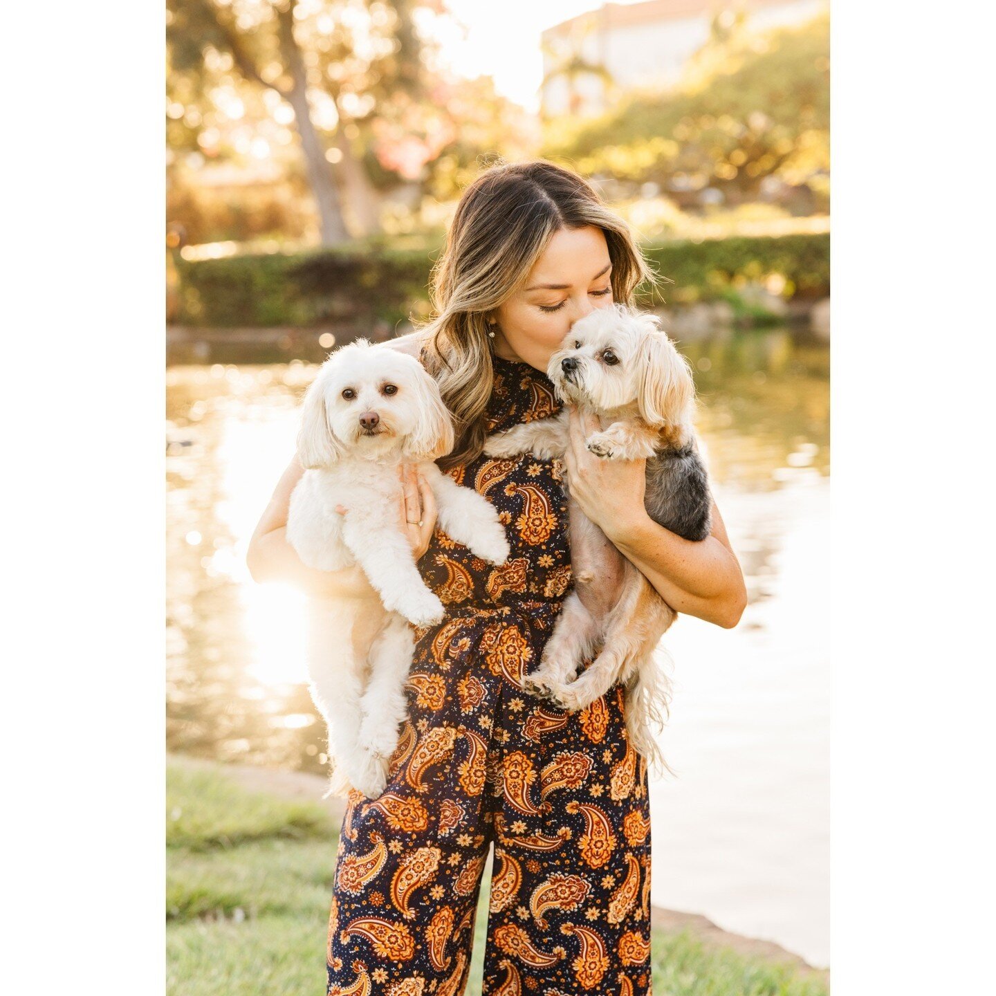 Puppies are definitely a girl's best friend. Loved this glowy mini session from last fall! Keep an eye out for some mini session announcements coming up soon! I will definitely be taking advantage of SB's green season as well as the wildflowers if th