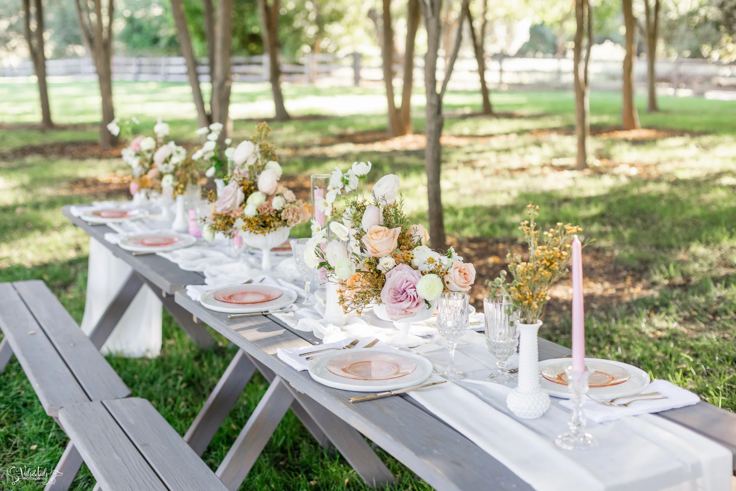 picnic wedding blush florals dinner setting, Lieff Ranch venue details, wedding in Santa Ynez, Veils &amp; Tails Photography