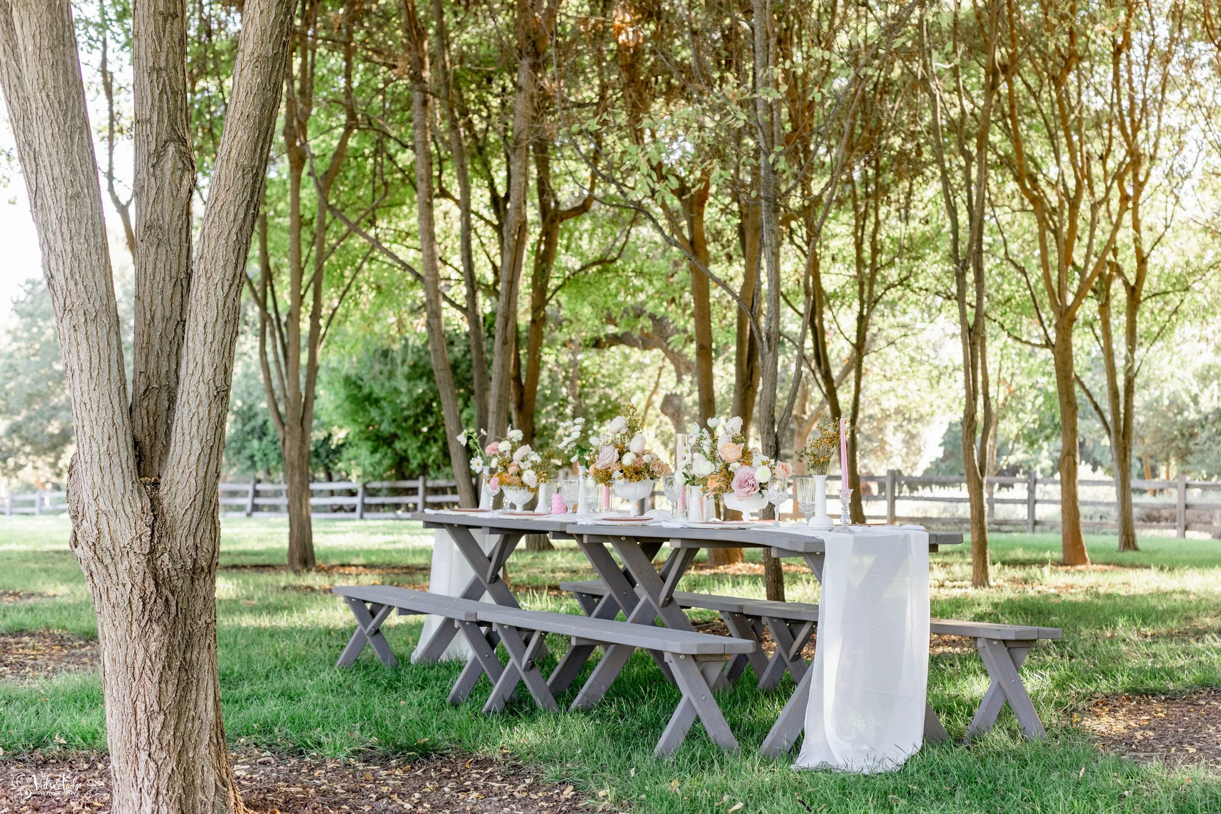 picnic wedding dinner setting, Lieff Ranch venue details, wedding in Santa Ynez, Veils &amp; Tails Photography