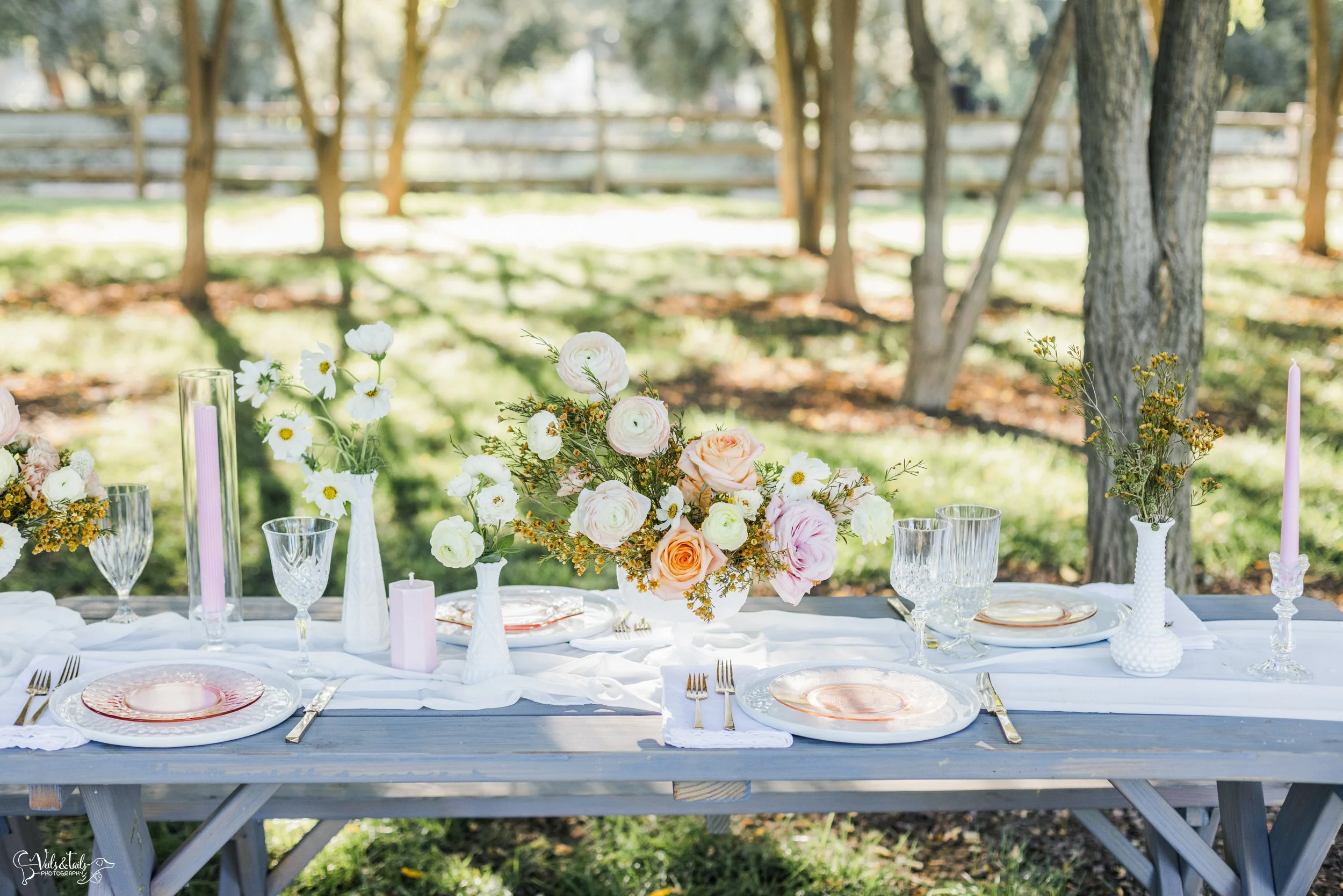 picnic wedding blush florals dinner setting, Lieff Ranch venue details, wedding in Santa Ynez, Veils &amp; Tails Photography