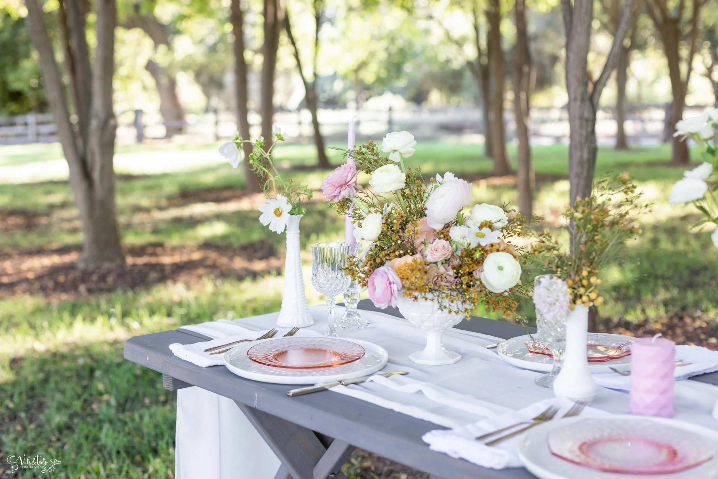 picnic wedding blush florals dinner setting, Lieff Ranch venue details, wedding in Santa Ynez, Veils &amp; Tails Photography