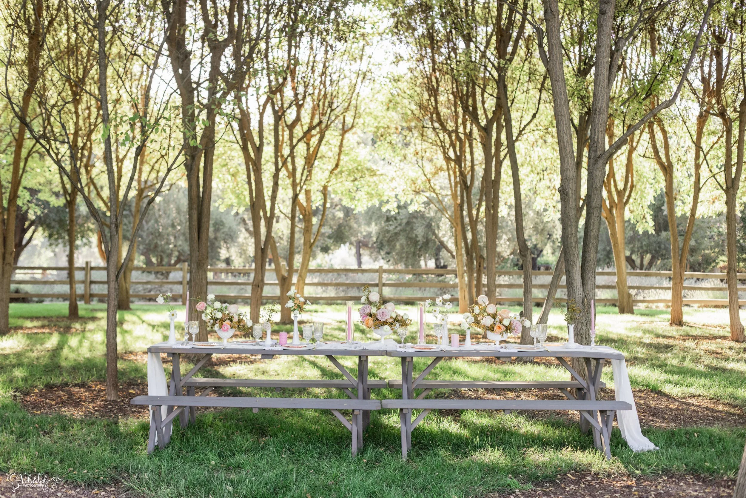 picnic wedding Breanna Jane Botanicals florals, Lieff Ranch venue details, wedding in Santa Ynez, Veils &amp; Tails Photography
