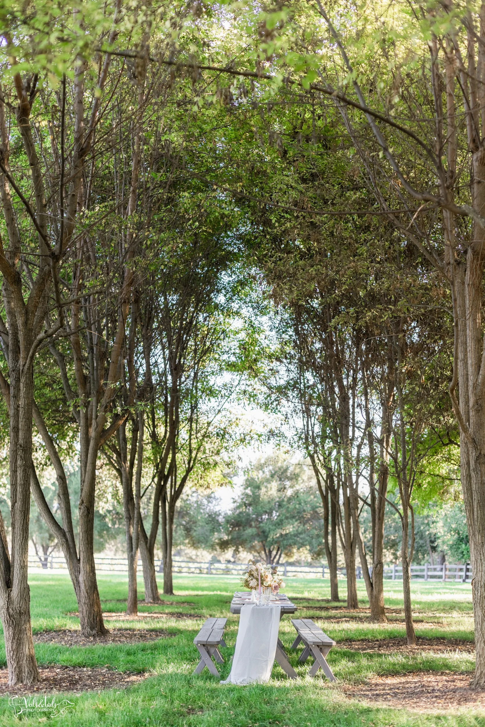 picnic wedding Breanna Jane Botanicals florals, Lieff Ranch venue details, wedding in Santa Ynez, Veils &amp; Tails Photography
