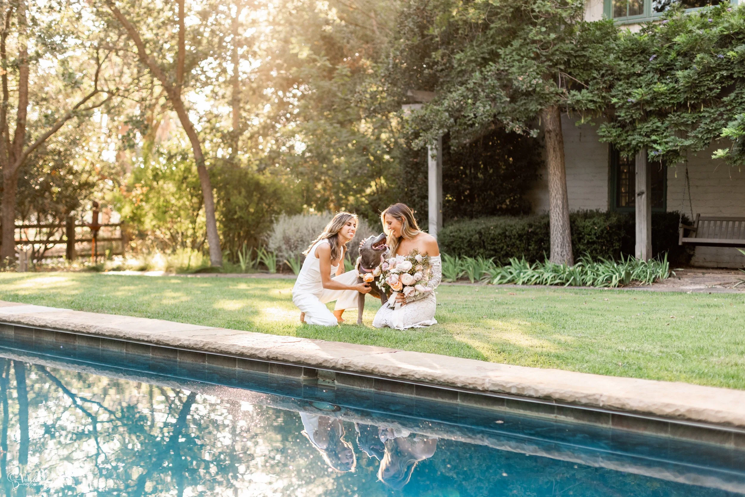 LGBTQ+ wedding photography; bridal portraits with rescue dog by swimming pool, Lieff Ranch in Santa Ynez, Veils &amp; Tails Photography