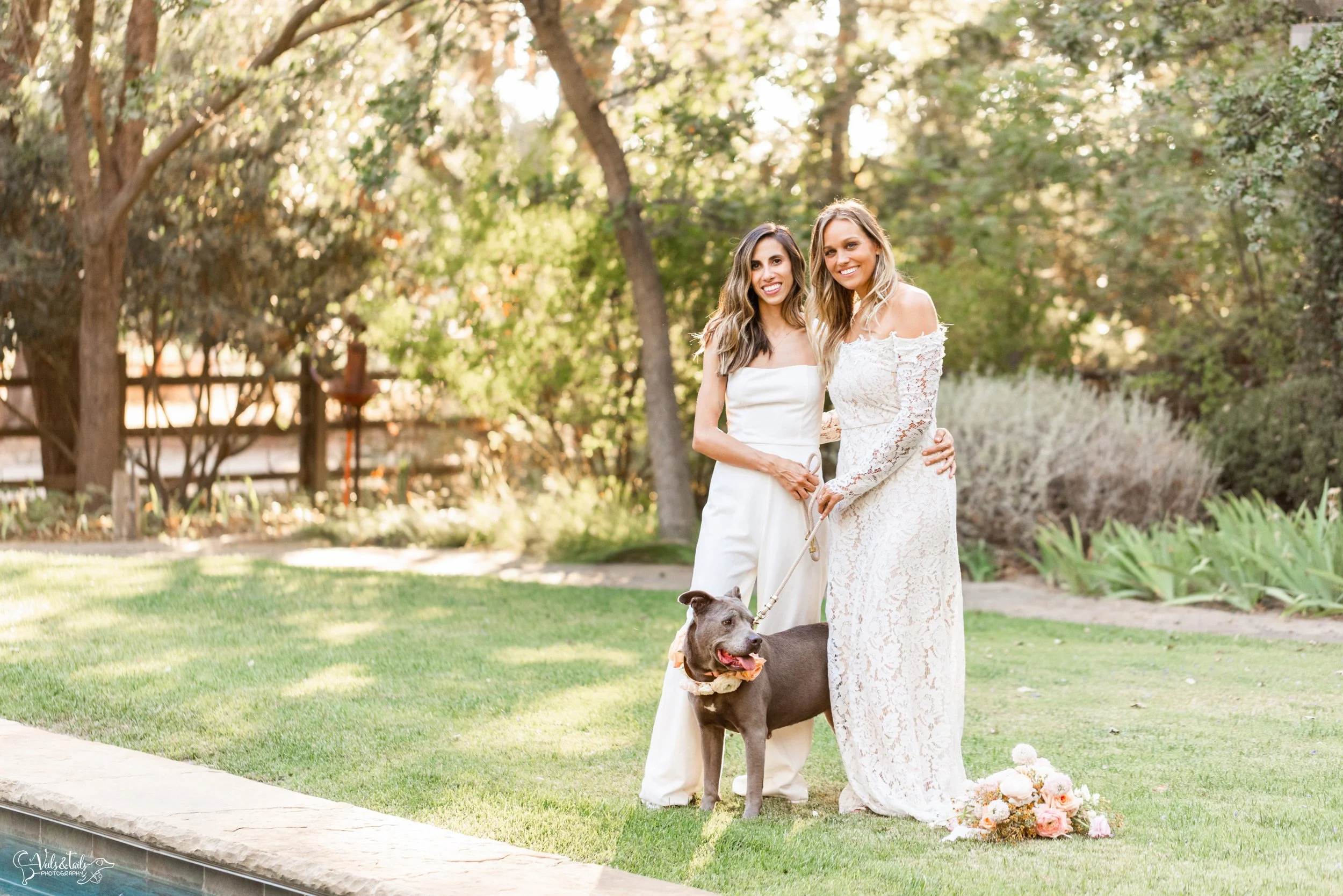 LGBTQ+ wedding photography; bridal portraits with rescue dog by swimming pool, Lieff Ranch in Santa Ynez, Veils &amp; Tails Photography